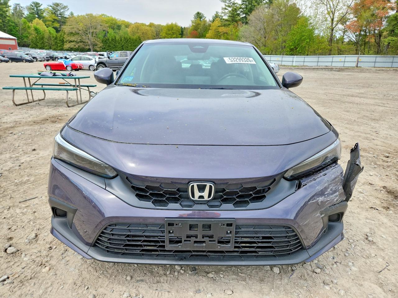 2024 Honda Civic Exl Фиолетовый vin: 19XFL1H7XRE019846
