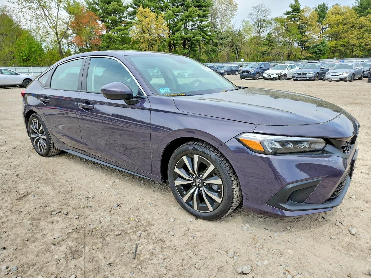 2024 Honda Civic Exl Фиолетовый vin: 19XFL1H7XRE019846