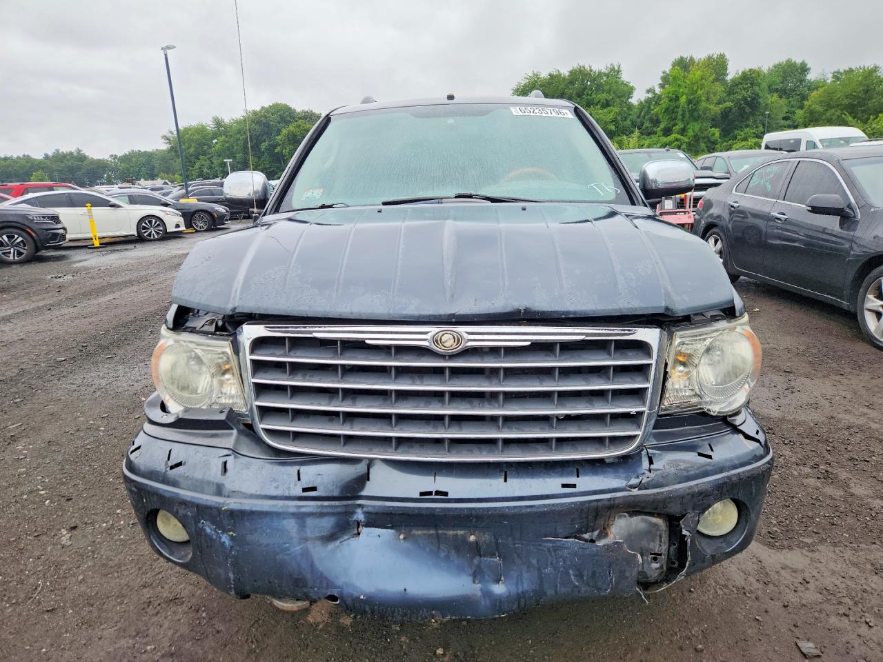 2009 Chrysler Aspen Limited Blue vin: 1A8HW58P49F700526