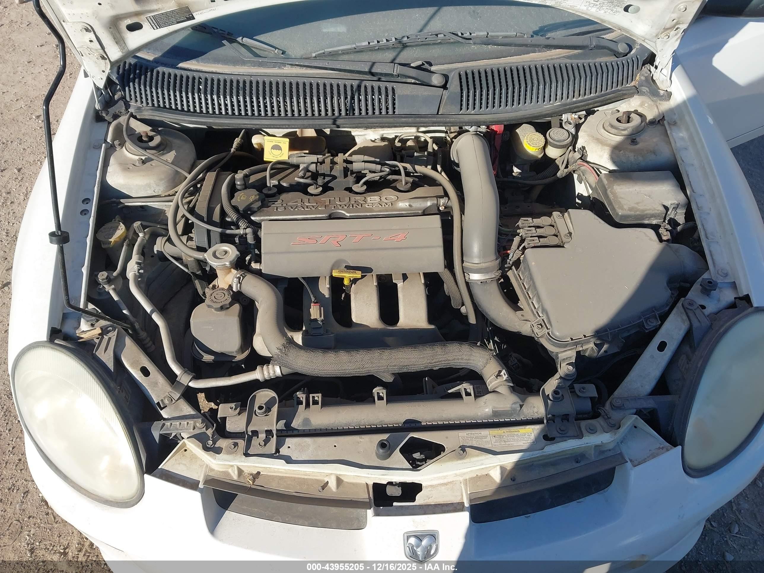 2005 Dodge Srt4   Белый vin: 1B3AS66S05D241634