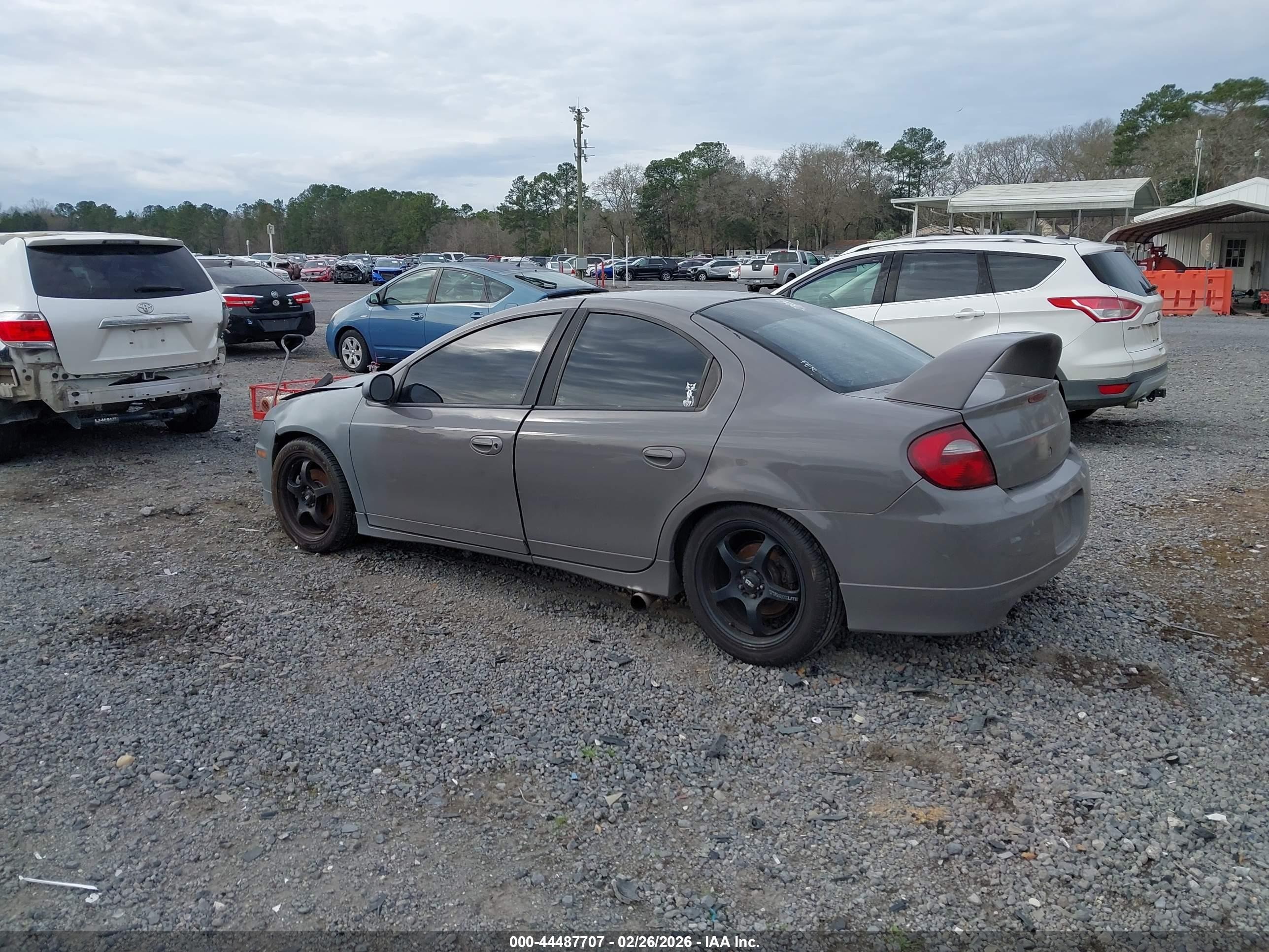 2005 Dodge Srt4   Gray vin: 1B3AS66S35D124971