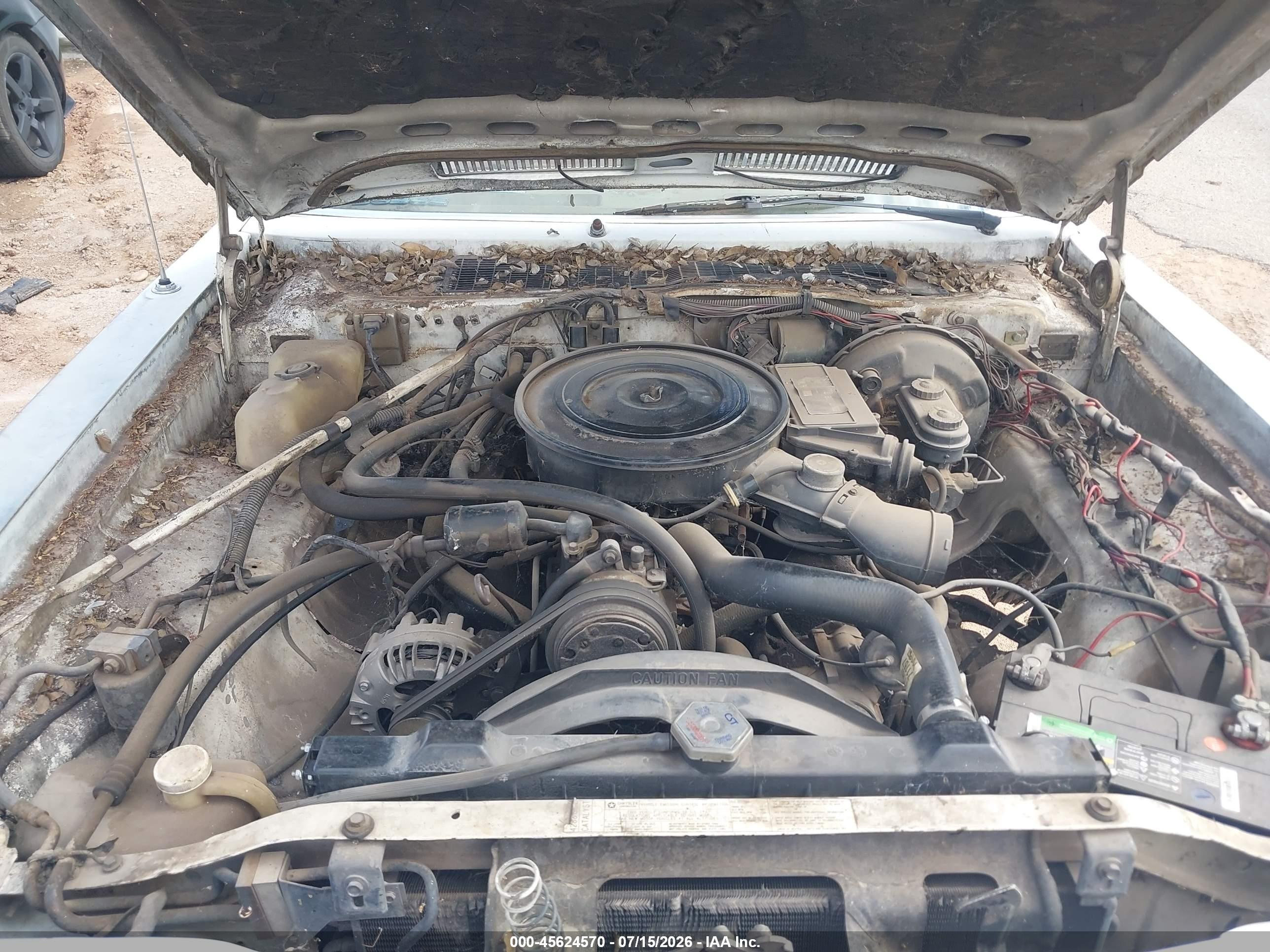1985 Dodge Diplomat Salon White vin: 1B3BG26P6FX564404