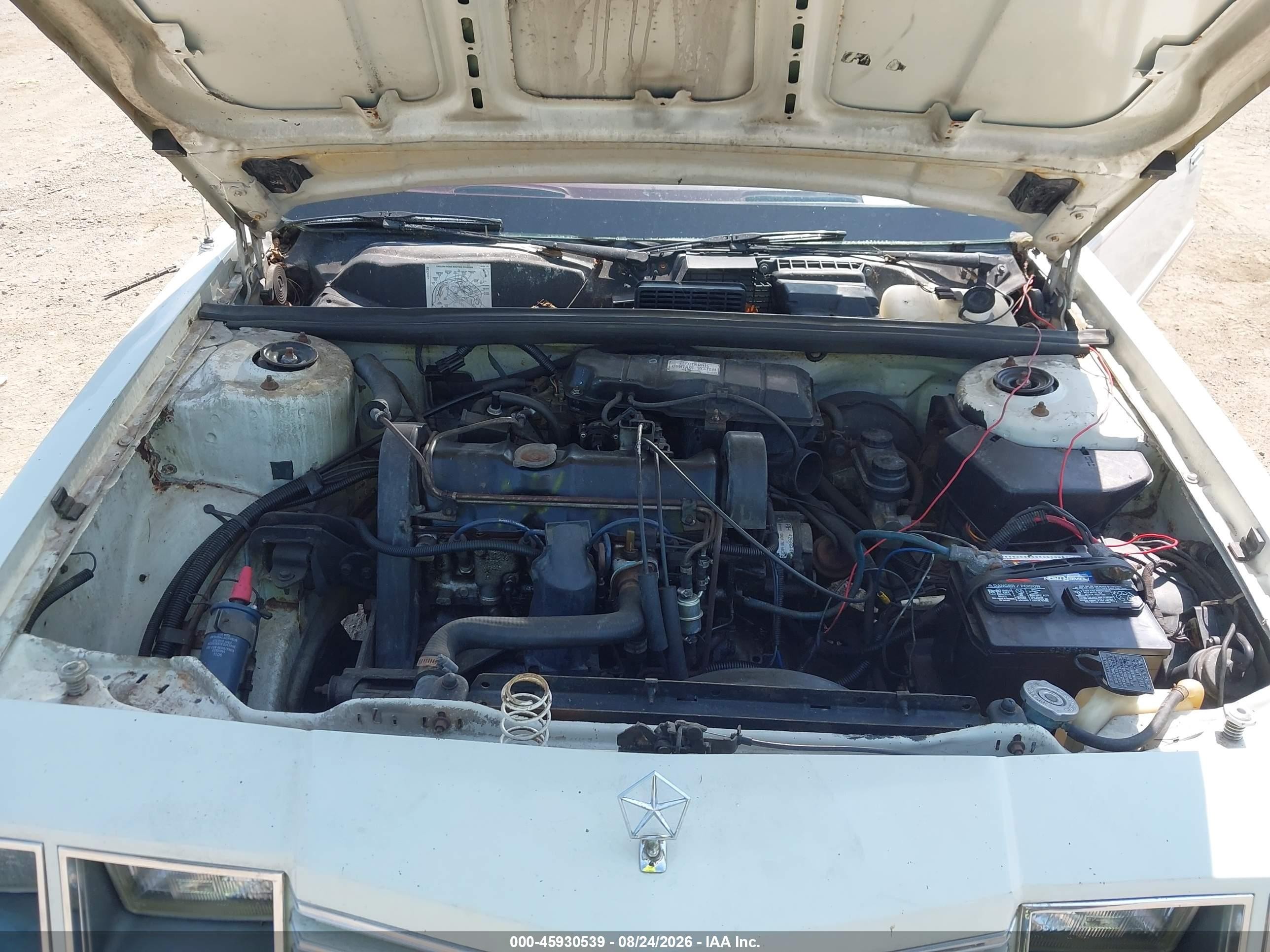 1983 Dodge 400 White vin: 1B3BV55C0DG165300