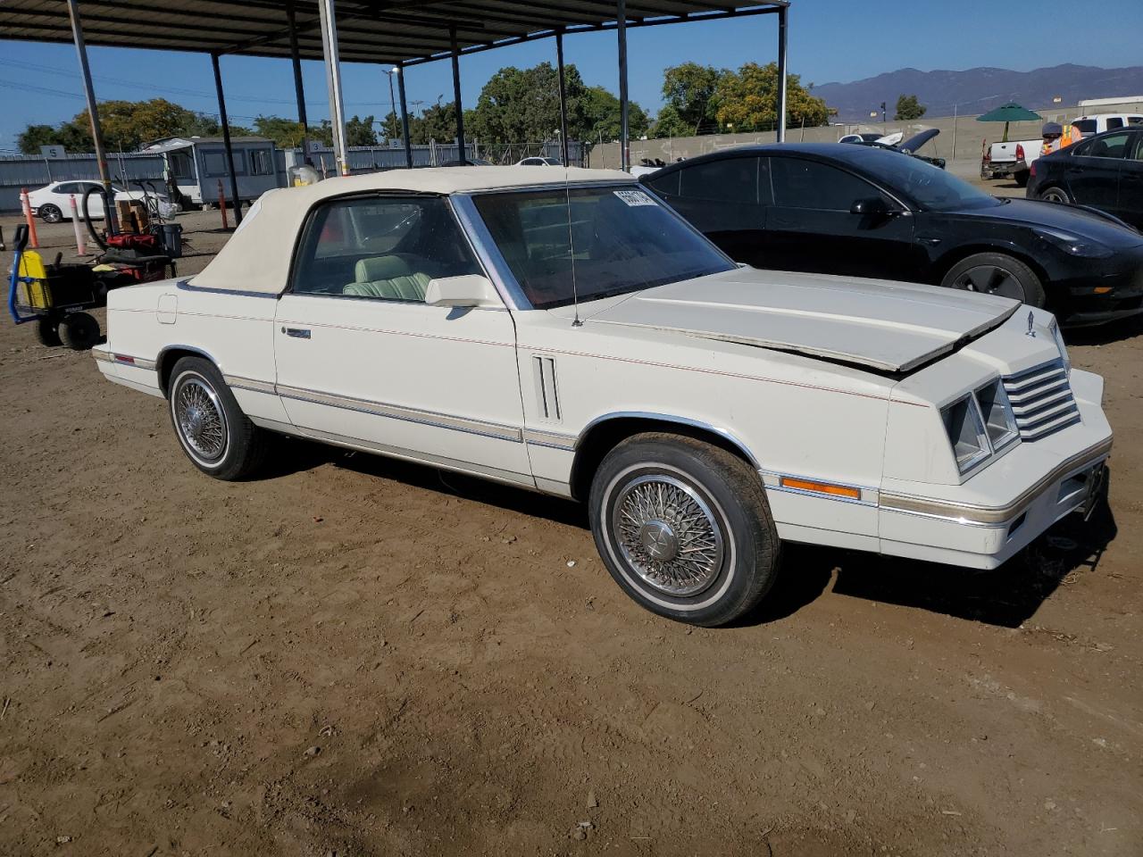 1983 Dodge 400 White vin: 1B3BV55C8DG168980