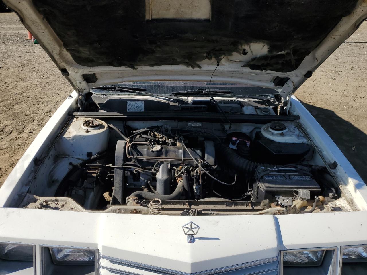 1983 Dodge 400 White vin: 1B3BV55C8DG168980