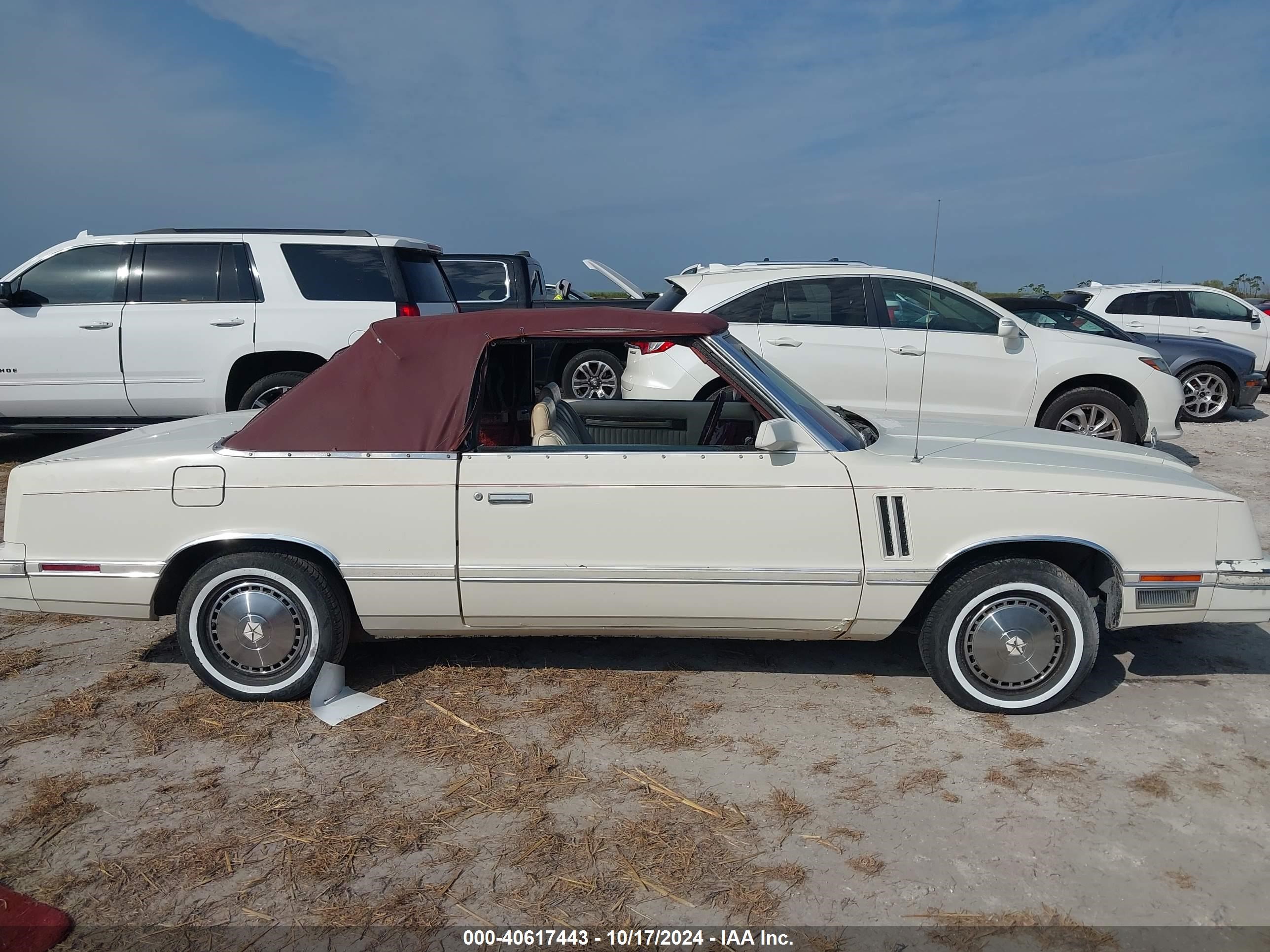 1983 Dodge 400   White vin: 1B3BV55C8DG180577