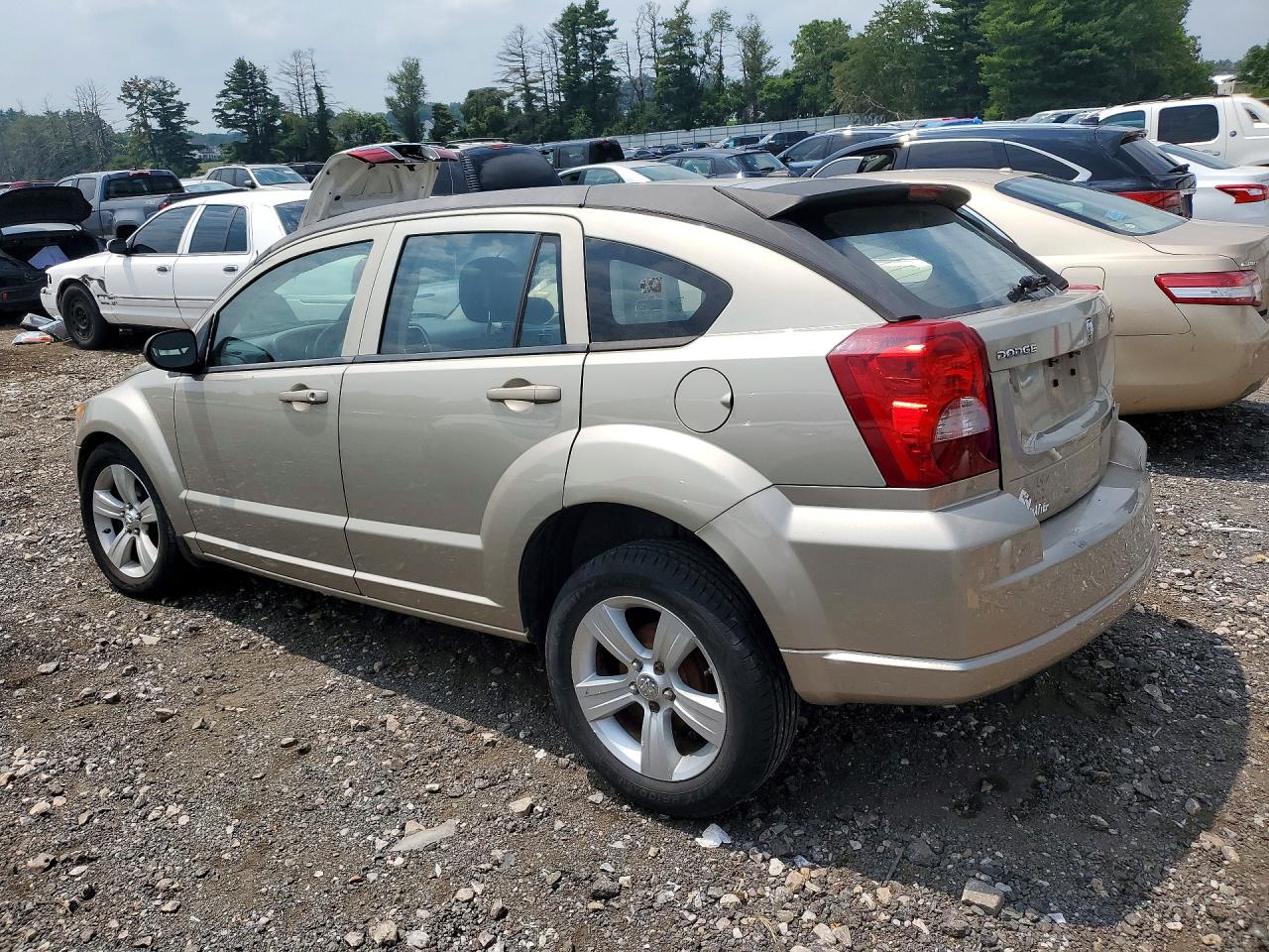 2010 Dodge Caliber Sxt Beige vin: 1B3CB4HA6AD635604