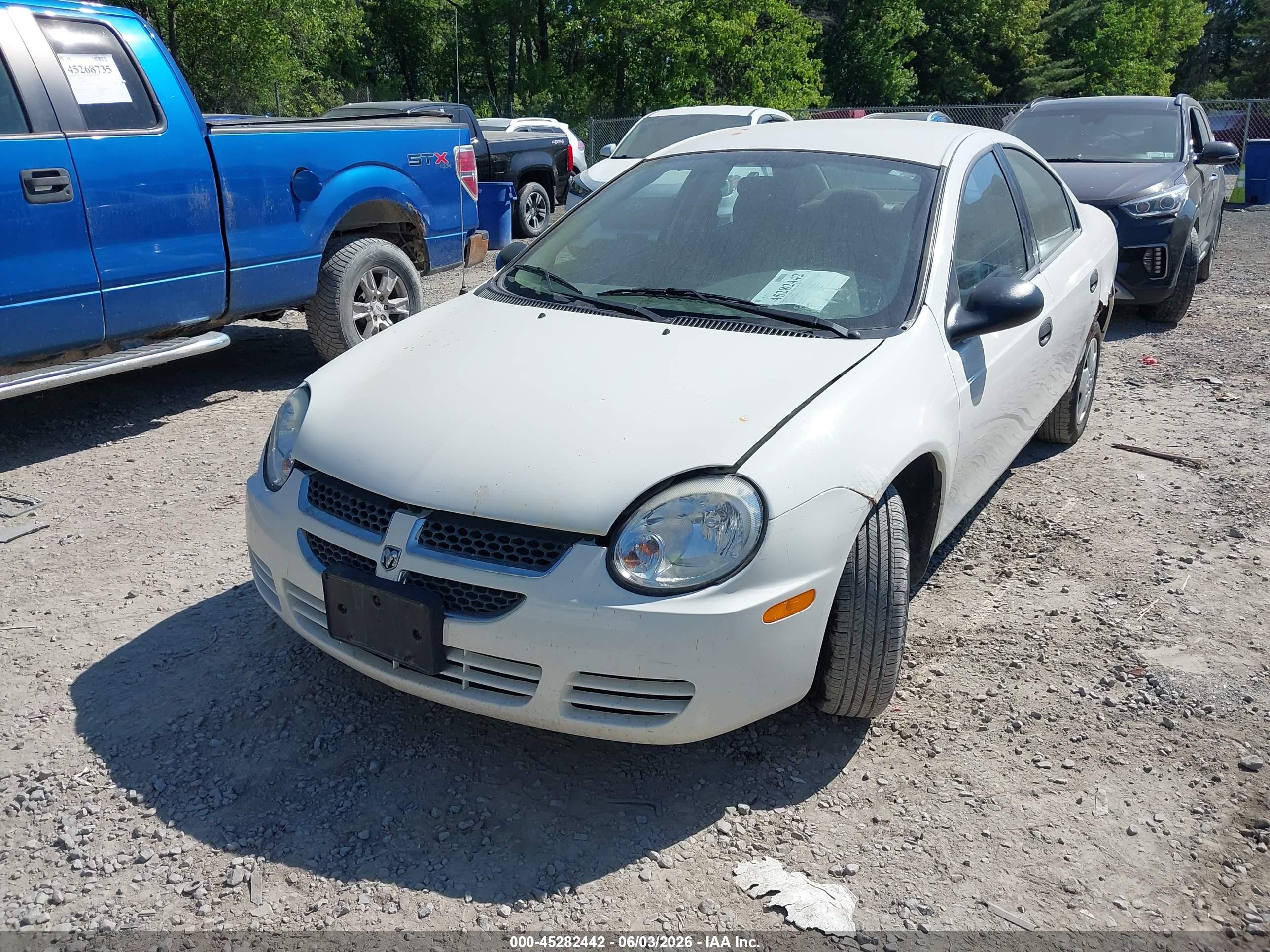 2004 Dodge Neon Se White vin: 1B3ES26C54D643909