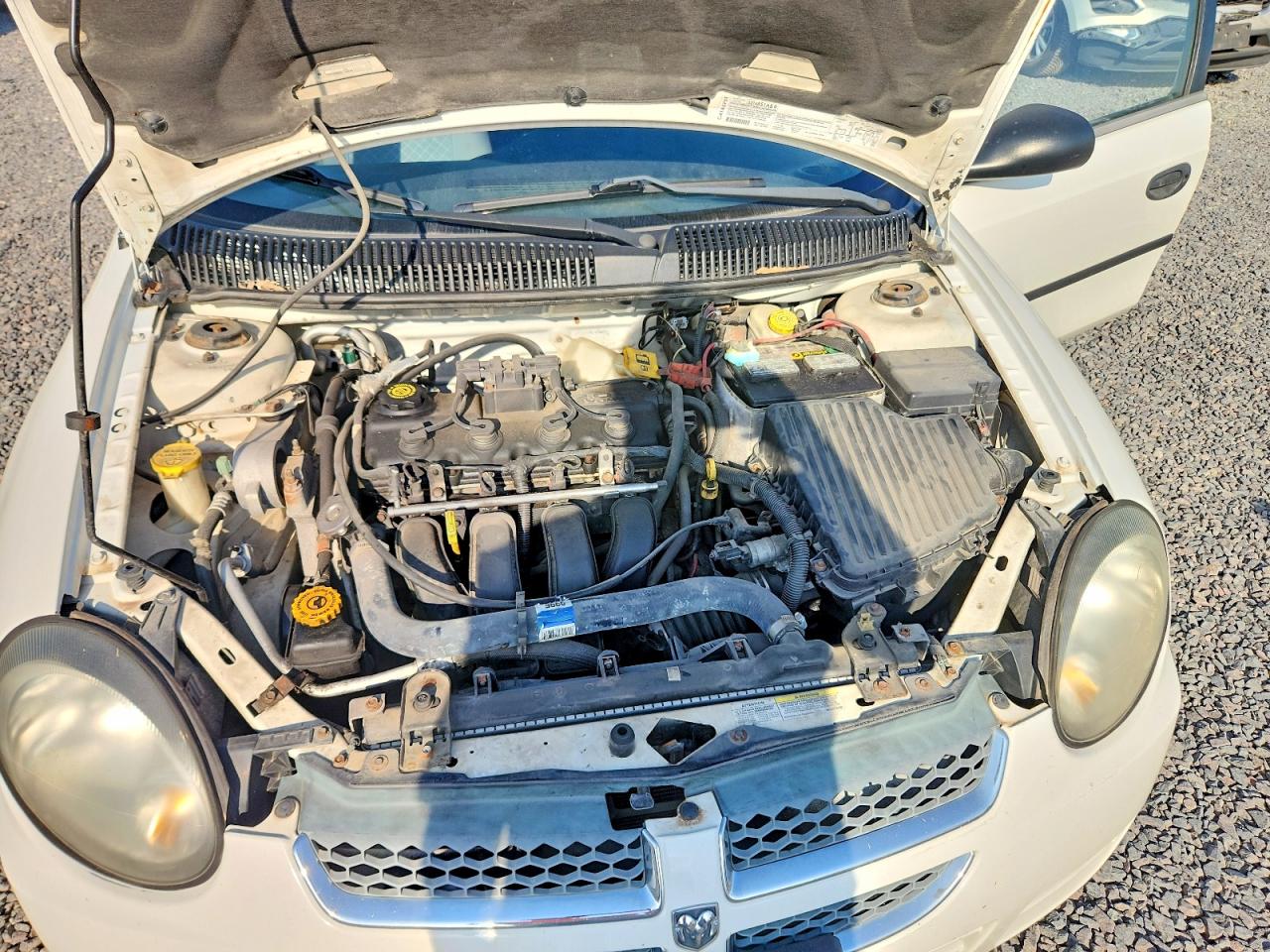2003 Dodge Neon Se White vin: 1B3ES26C63D190561
