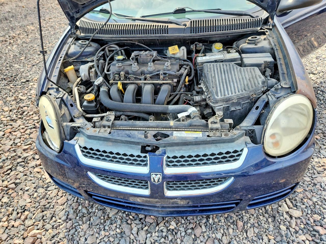 2004 Dodge Neon Sxt Blue vin: 1B3ES56C04D520522