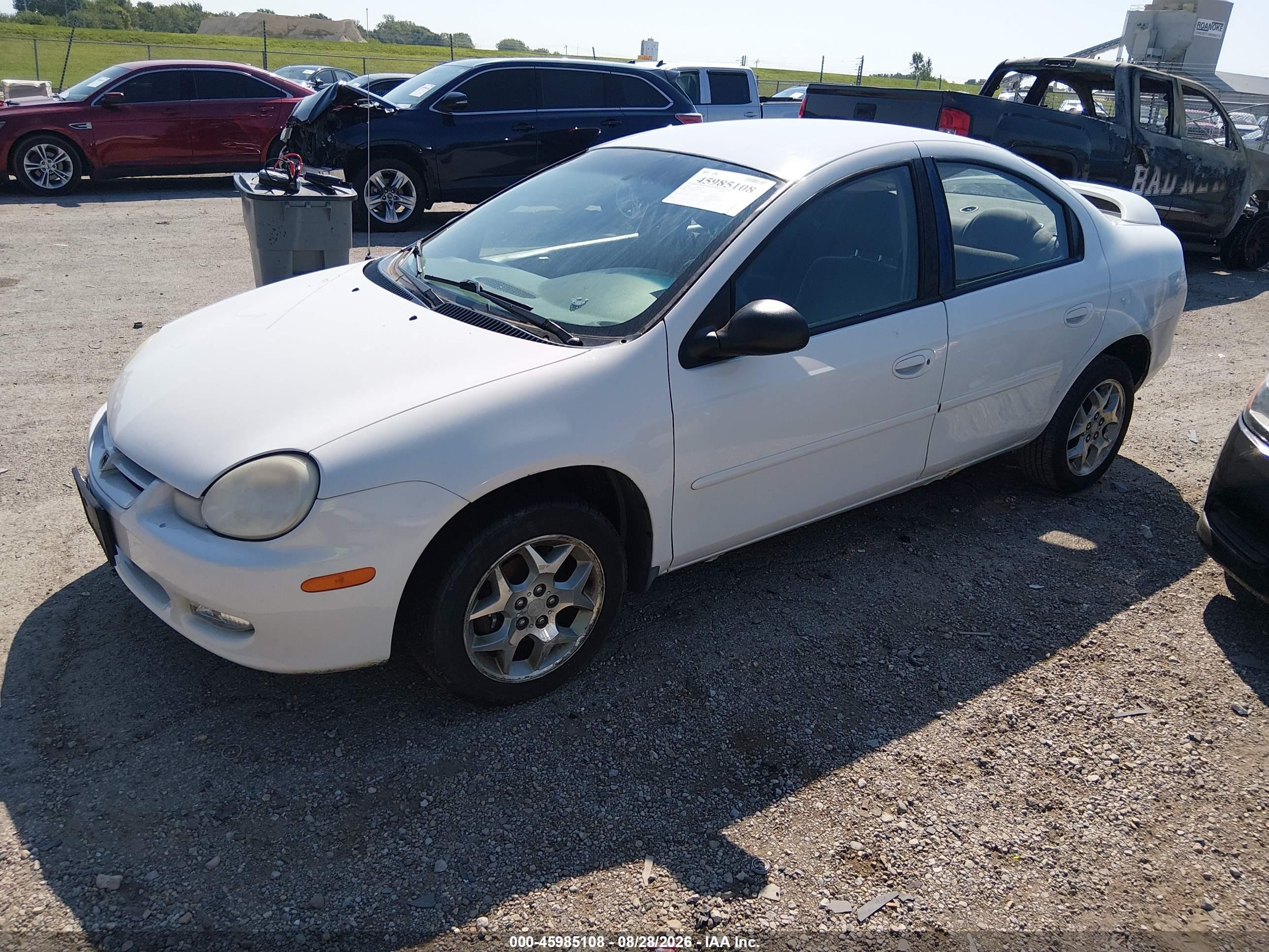 2002 Dodge Neon Sxt White vin: 1B3ES56C12D651455