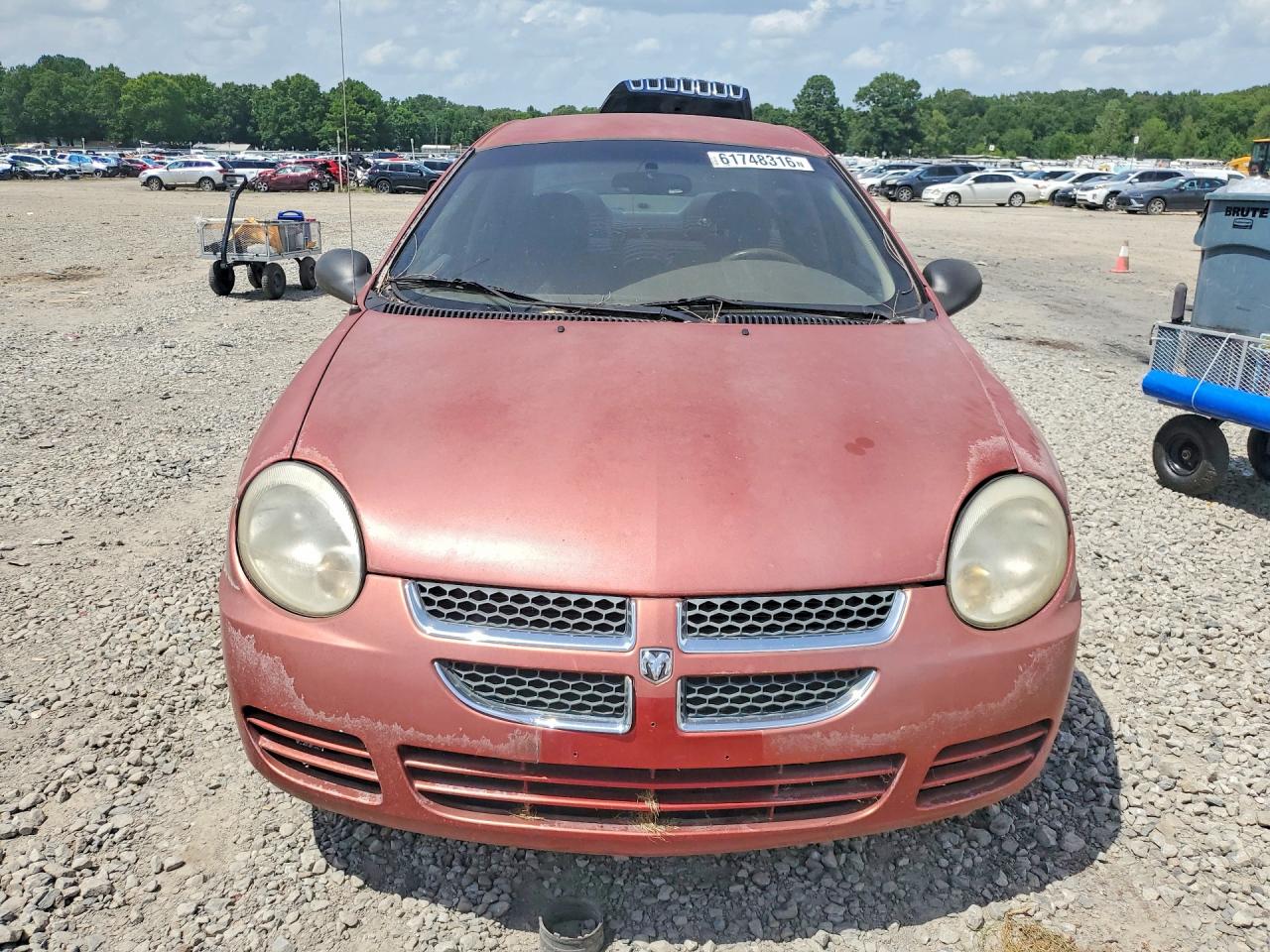 2004 Dodge Neon Sxt Red vin: 1B3ES56C14D524708