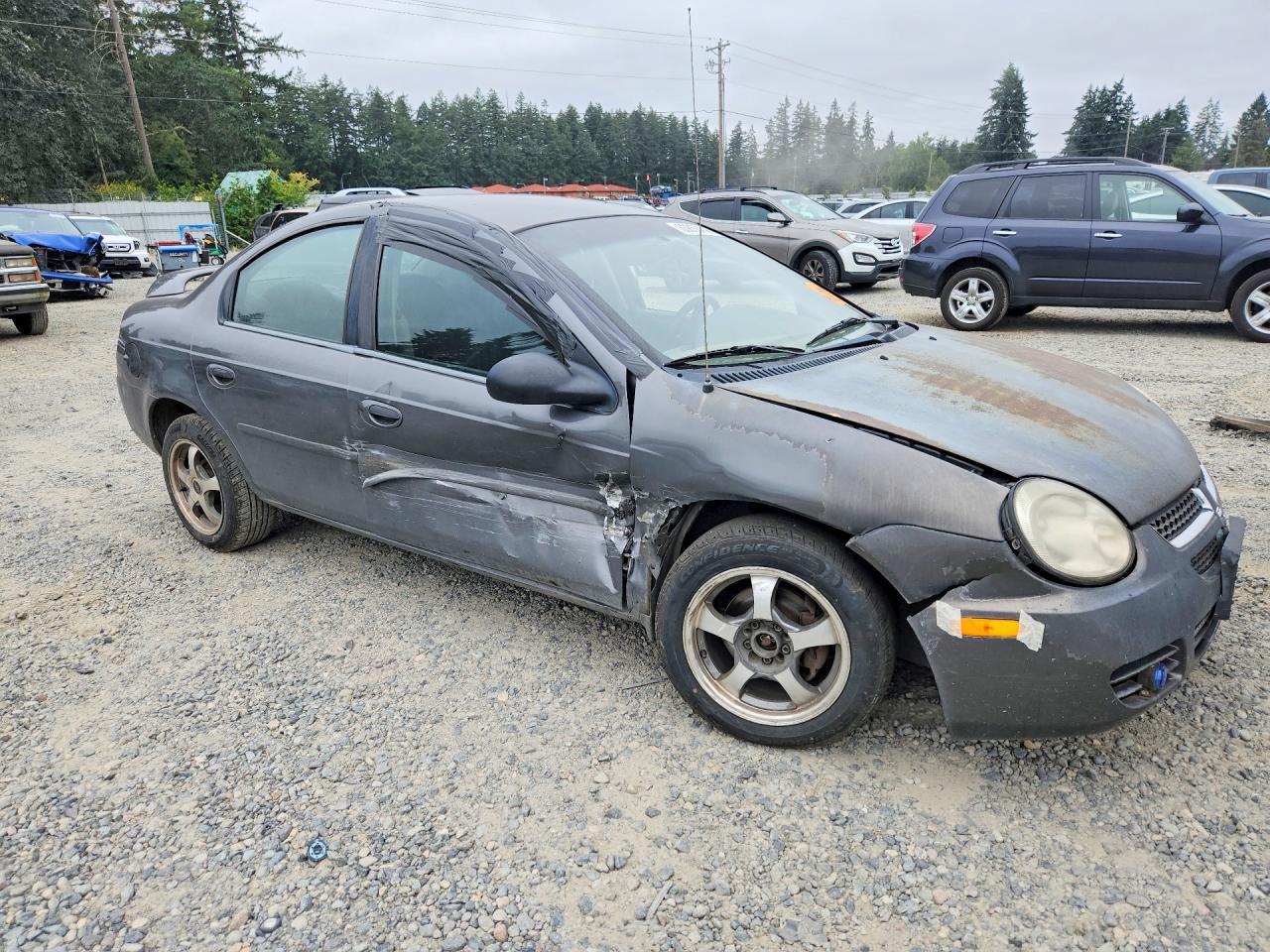 2004 Dodge Neon Sxt Gray vin: 1B3ES56C34D535600
