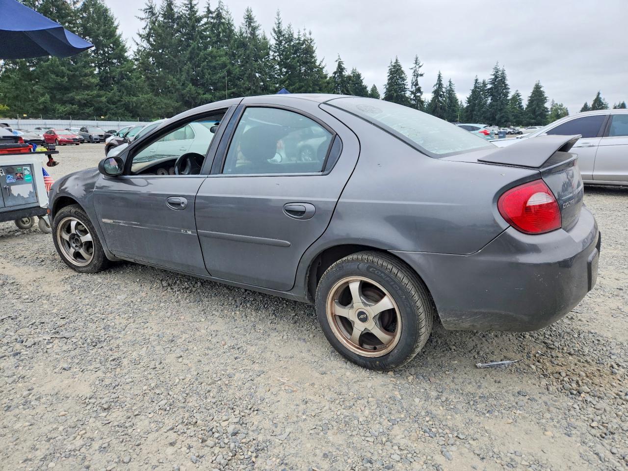 2004 Dodge Neon Sxt Gray vin: 1B3ES56C34D535600
