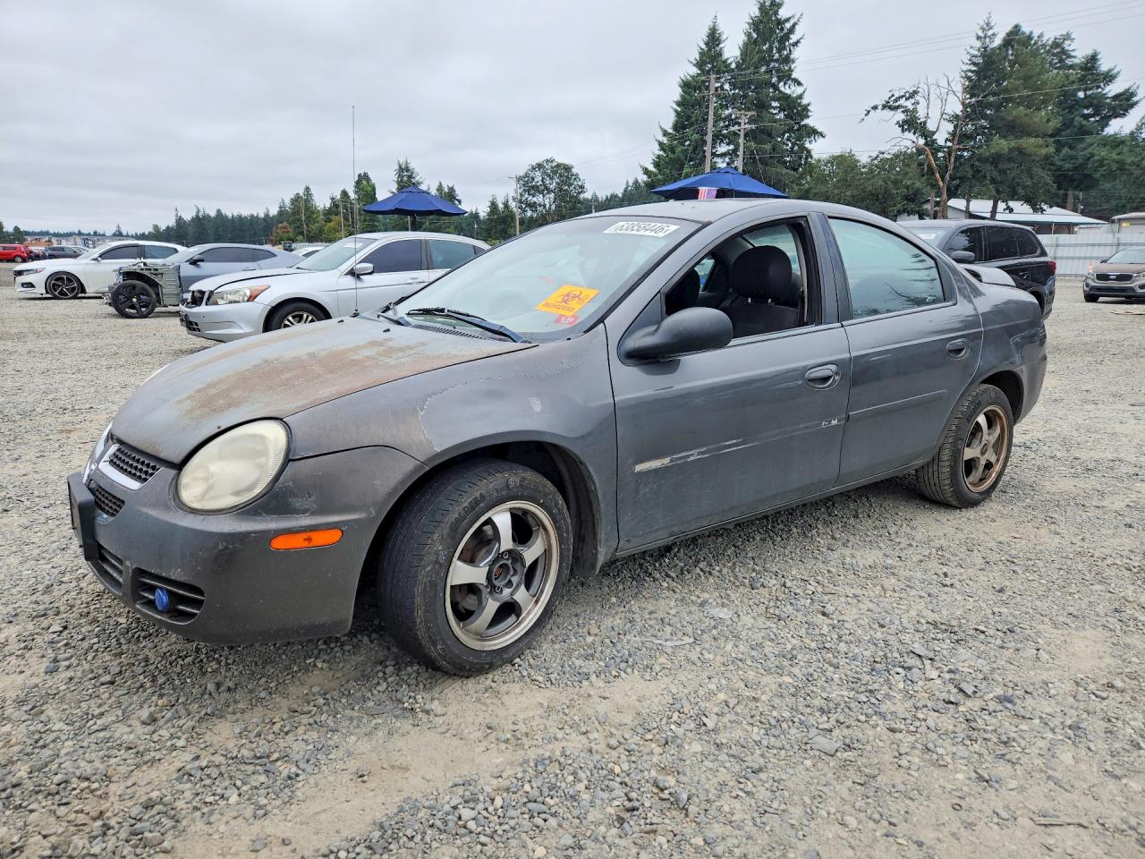 2004 Dodge Neon Sxt Gray vin: 1B3ES56C34D535600