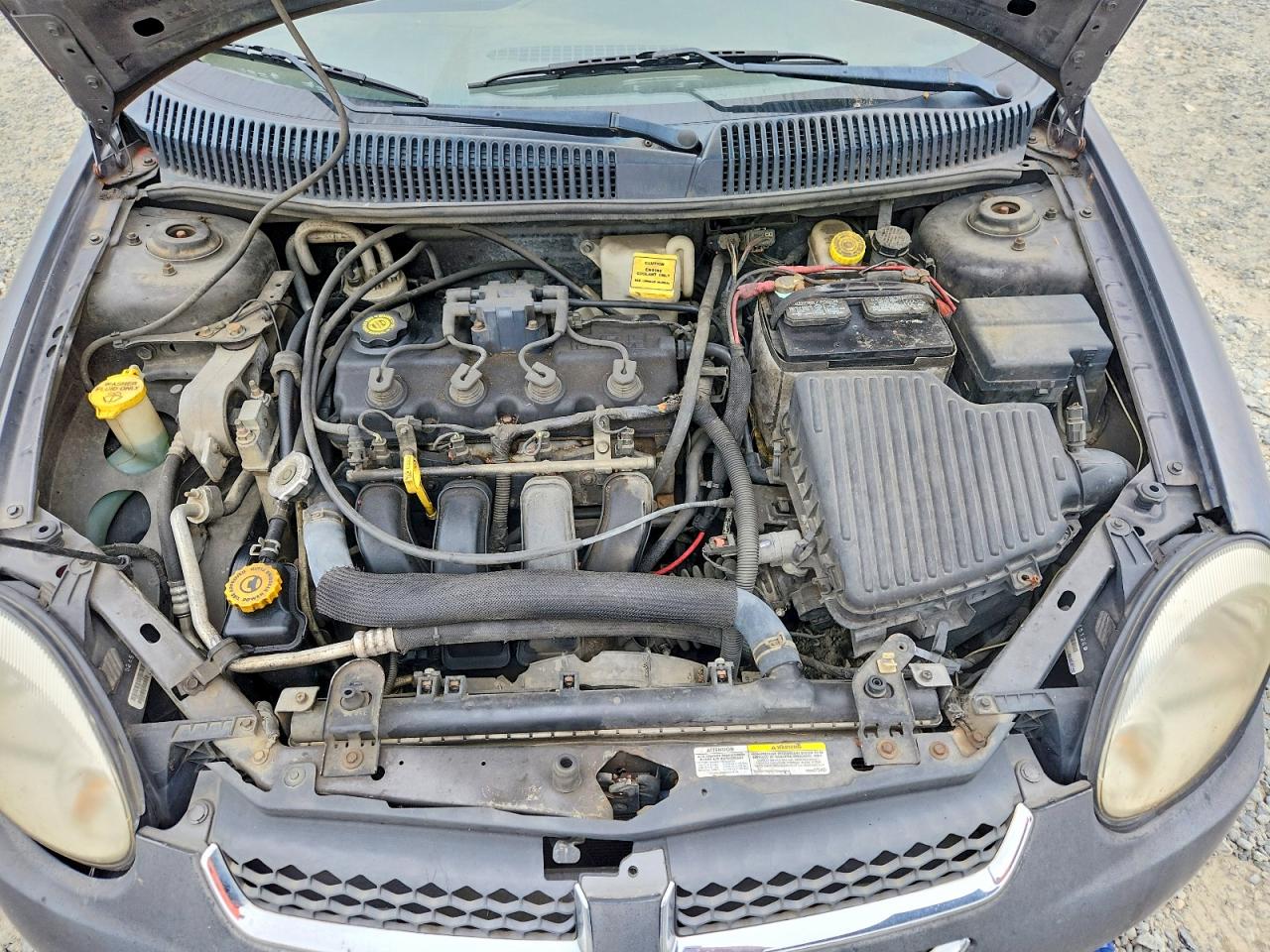 2004 Dodge Neon Sxt Gray vin: 1B3ES56C34D535600