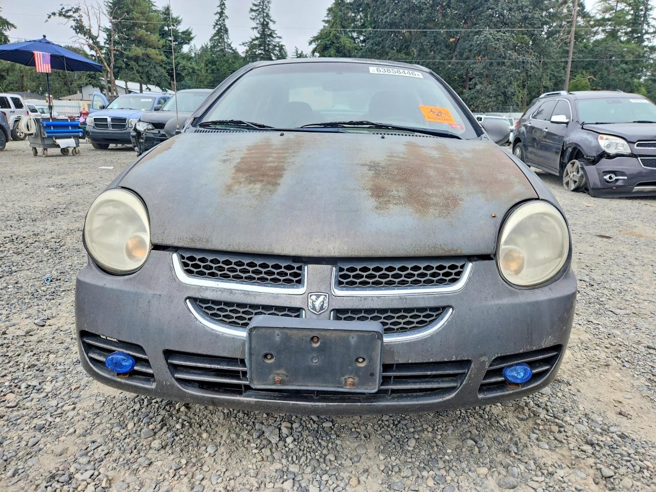 2004 Dodge Neon Sxt Gray vin: 1B3ES56C34D535600
