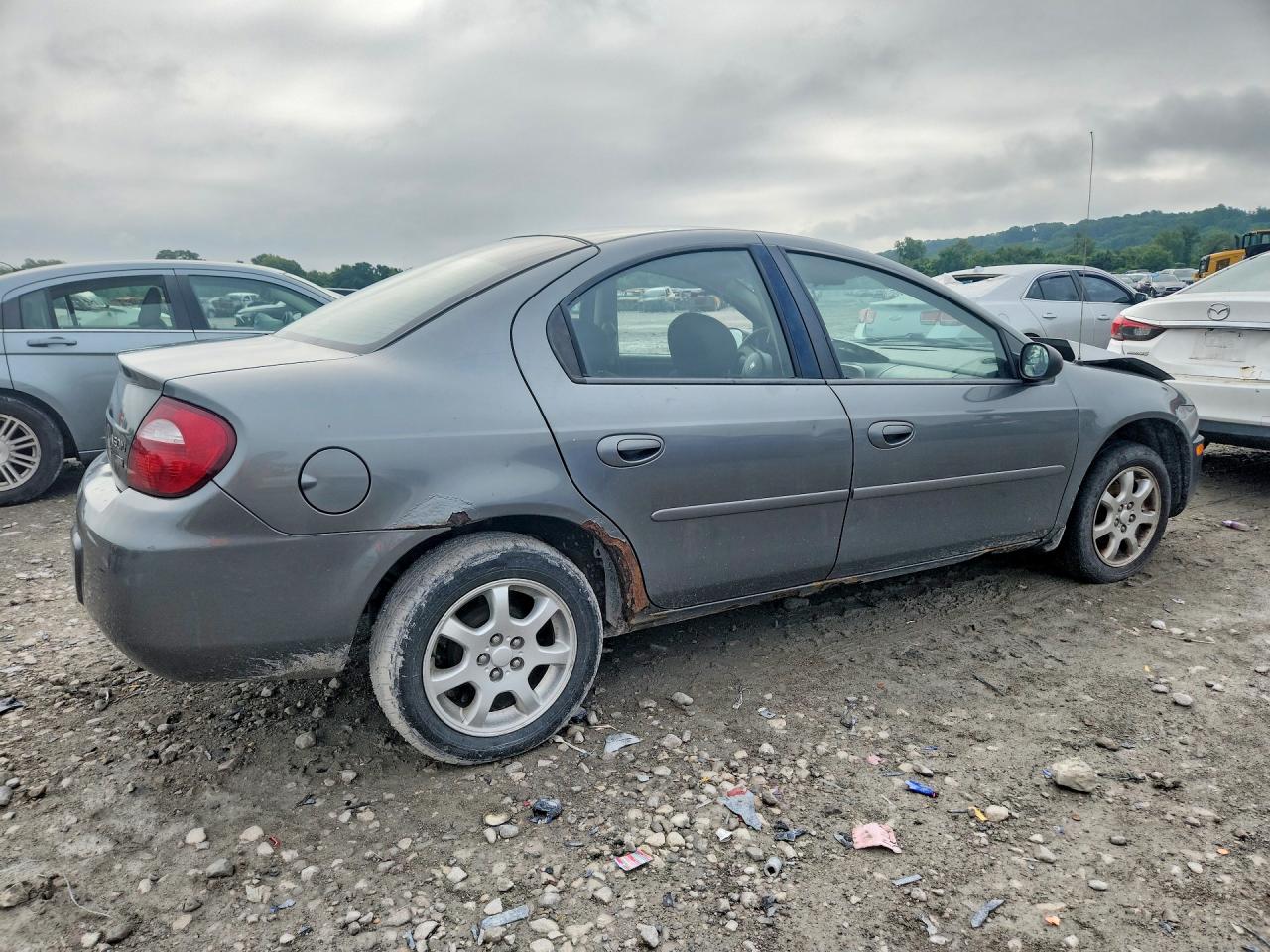 2005 Dodge Neon Sxt Gray vin: 1B3ES56C45D275094