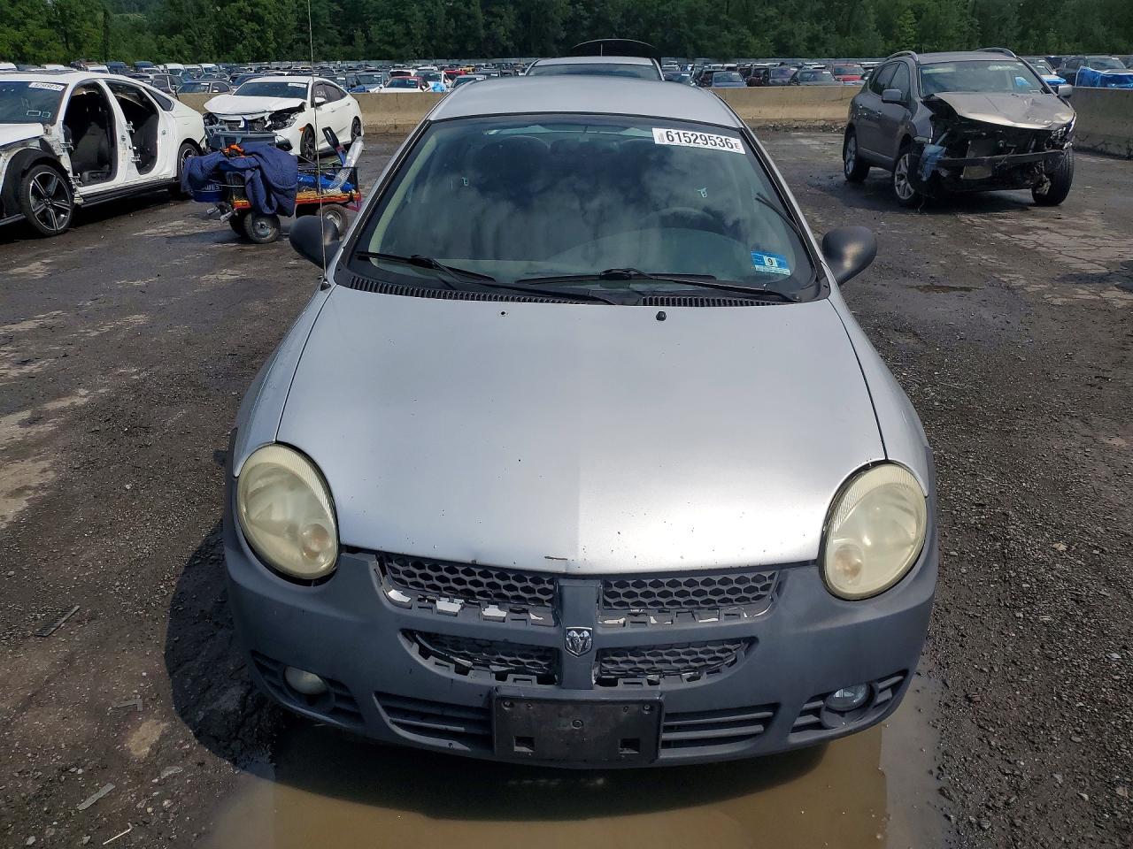 2005 Dodge Neon Sxt Серебряный vin: 1B3ES56C65D184506