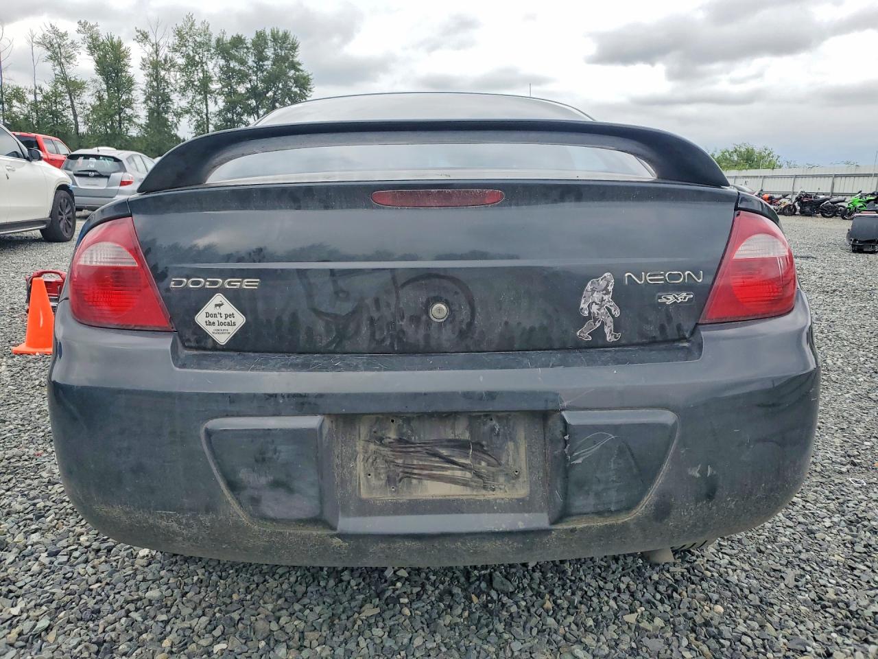 2005 Dodge Neon Sxt Black vin: 1B3ES56C75D115338