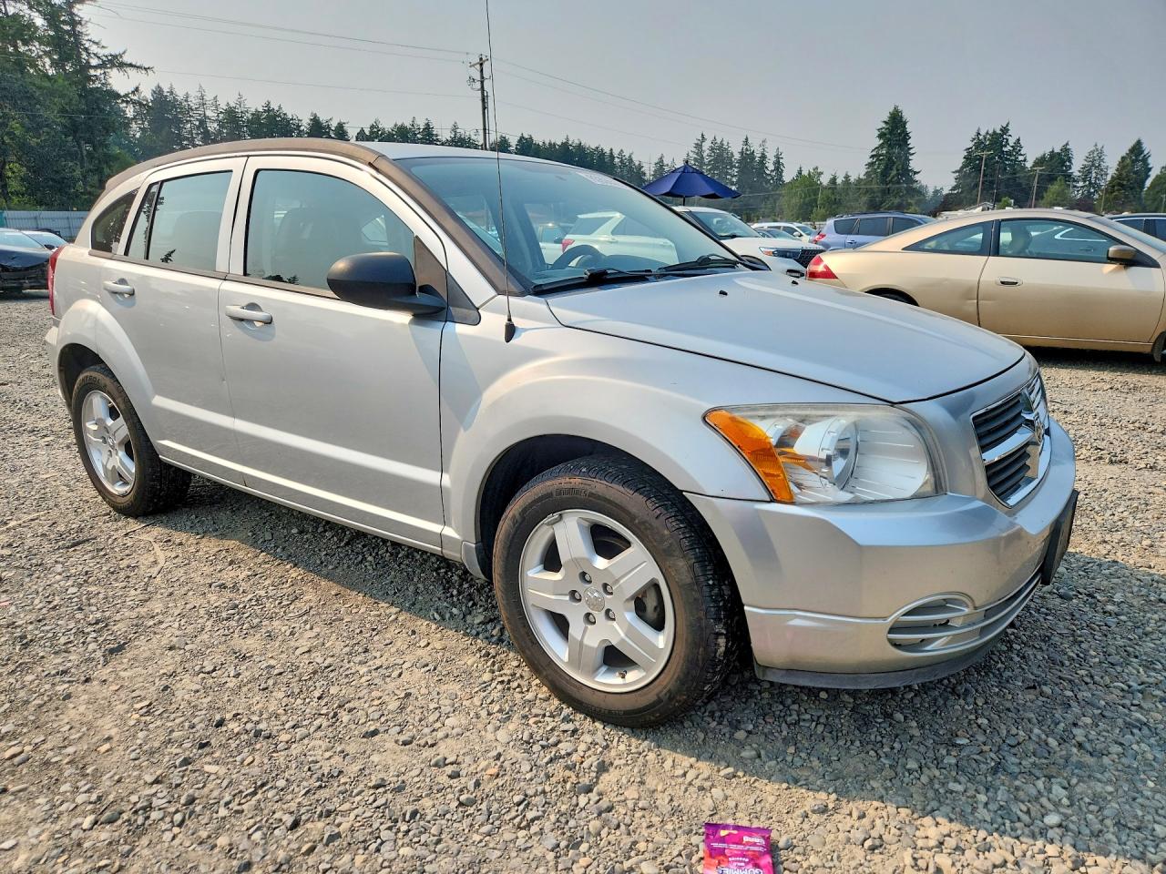 2009 Dodge Caliber Sxt Silver vin: 1B3HB48A89D143707
