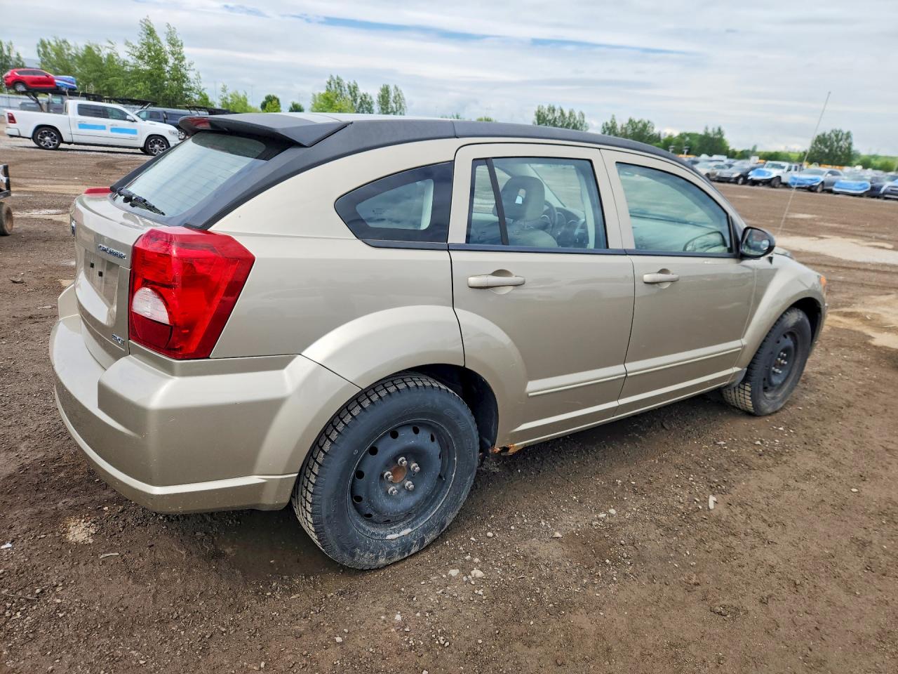 2009 Dodge Caliber Sxt Золотой vin: 1B3HB48A89D170955
