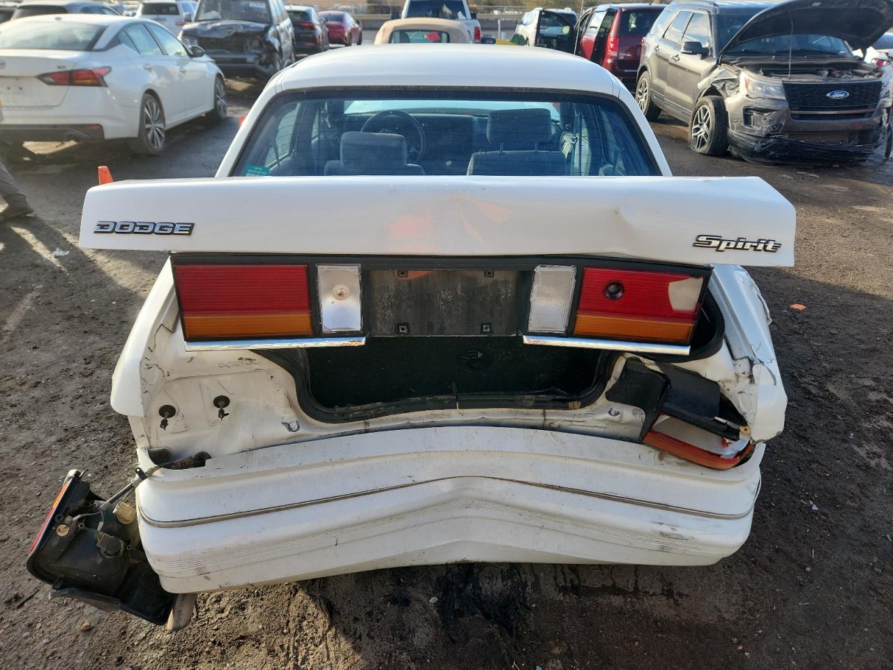 1991 Dodge Spirit White vin: 1B3XA4635MF524205