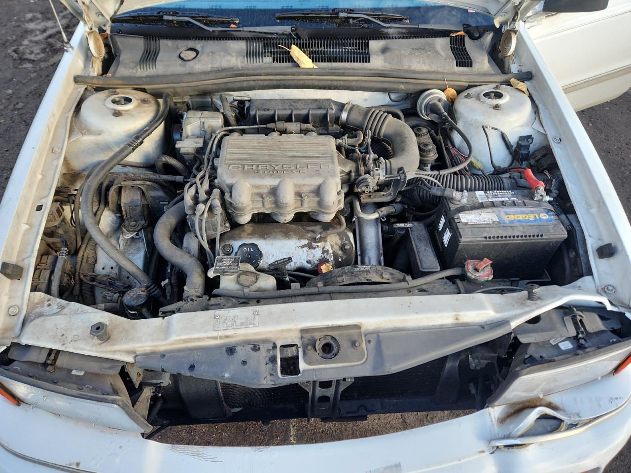 1991 Dodge Spirit White vin: 1B3XA4635MF524205