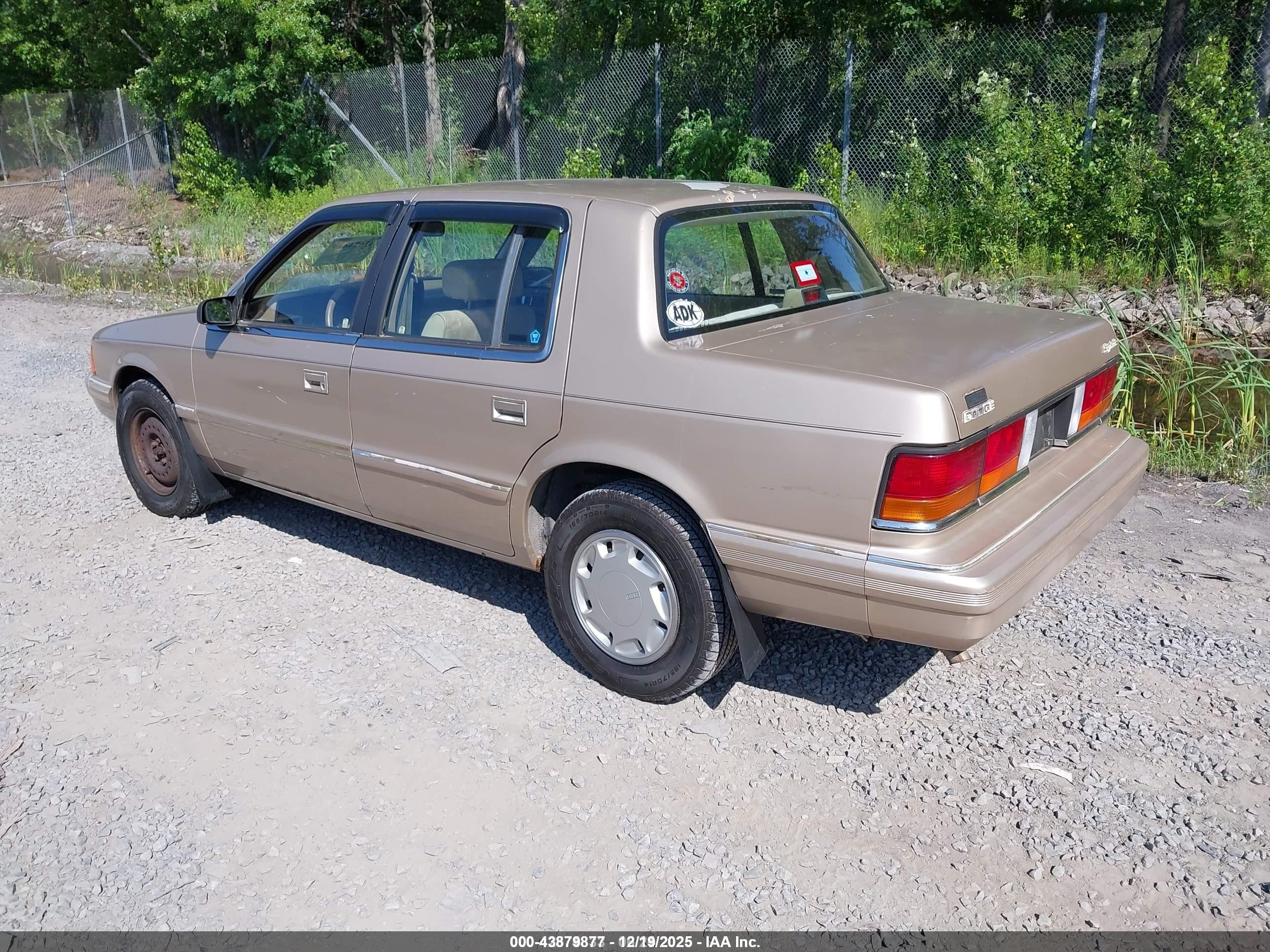 1991 Dodge Spirit   Gold vin: 1B3XA46K2MF565396