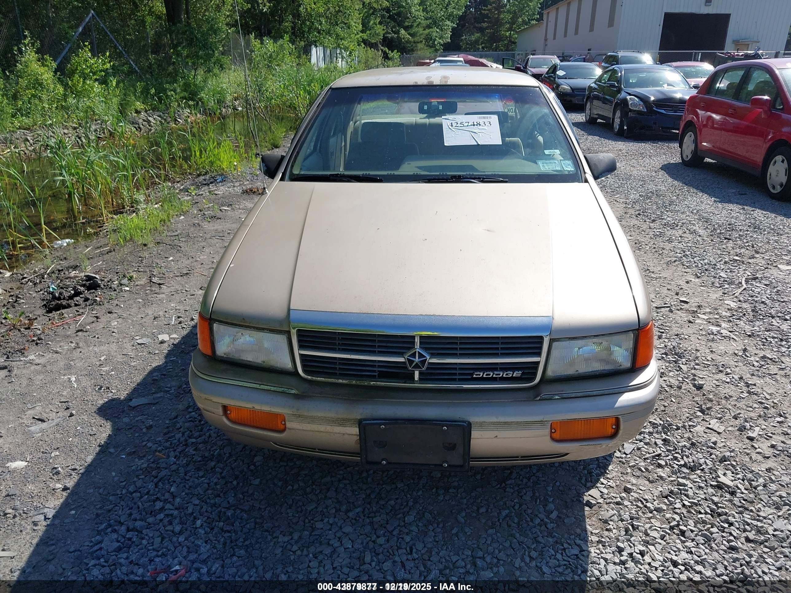 1991 Dodge Spirit   Gold vin: 1B3XA46K2MF565396