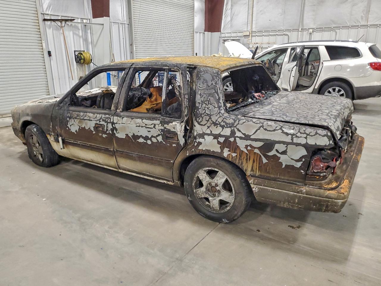 1991 Dodge Spirit Le Burn vin: 1B3XA56JXMF654842
