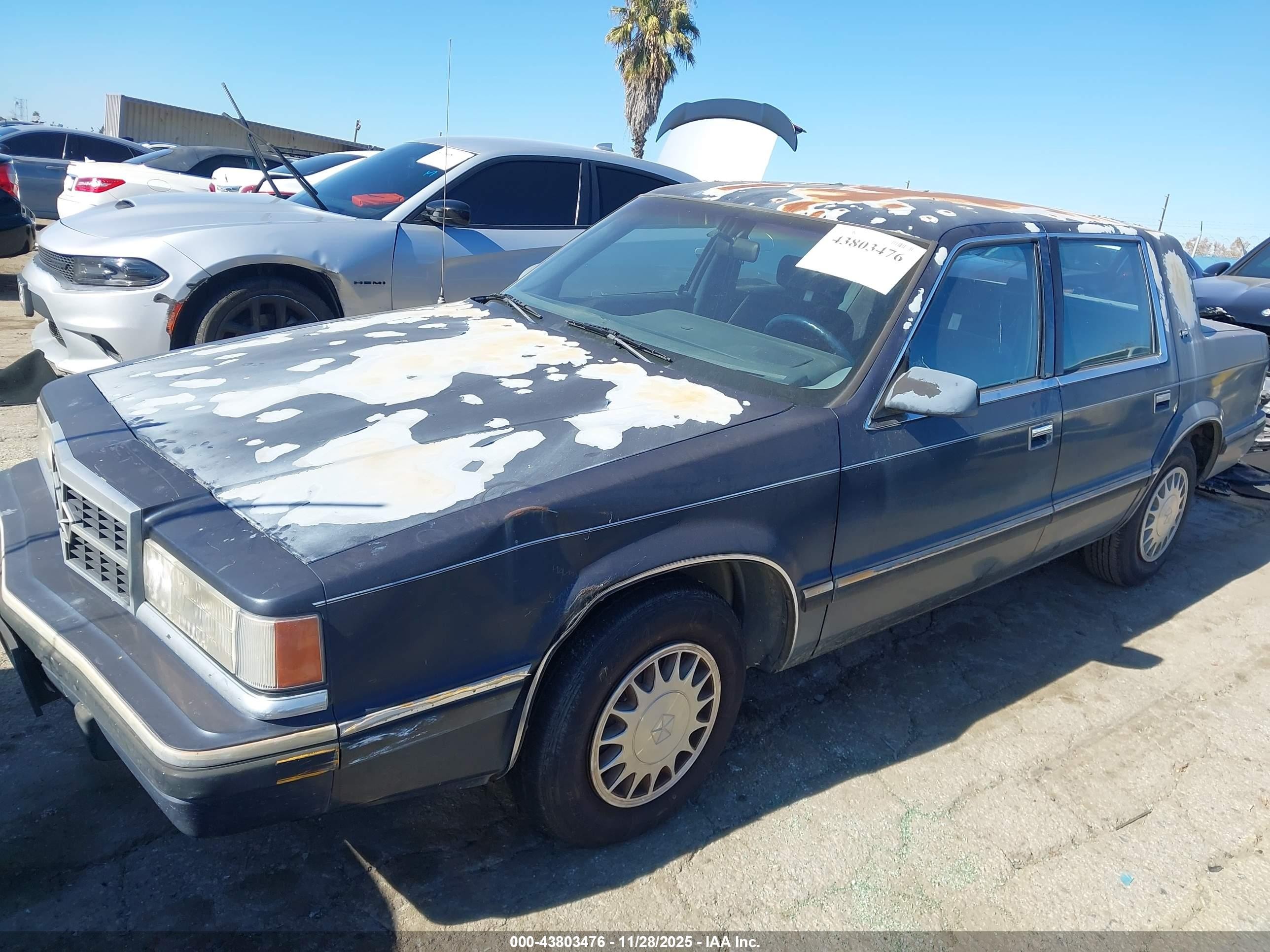 1991 Dodge Dynasty Le Blue vin: 1B3XC56R4MD253430
