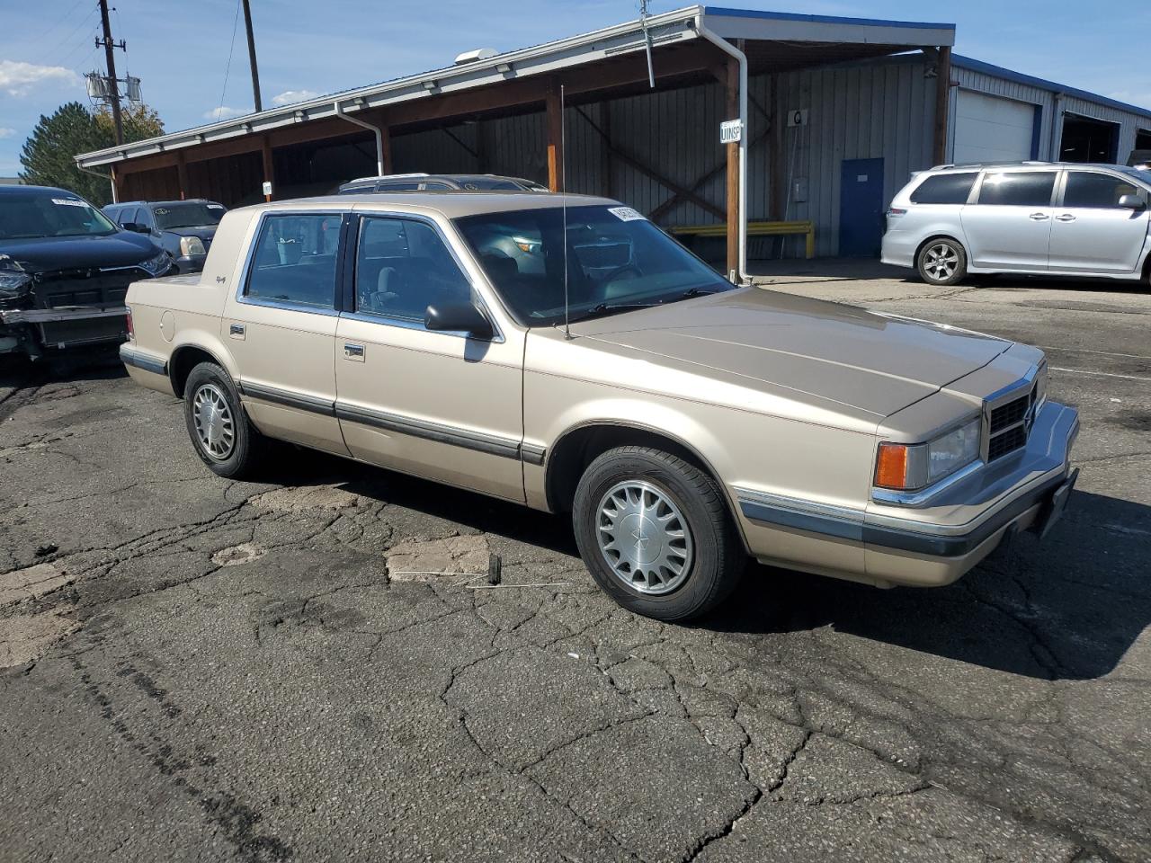 1993 Dodge Dynasty Le Gold vin: 1B3XC56R4PD186204