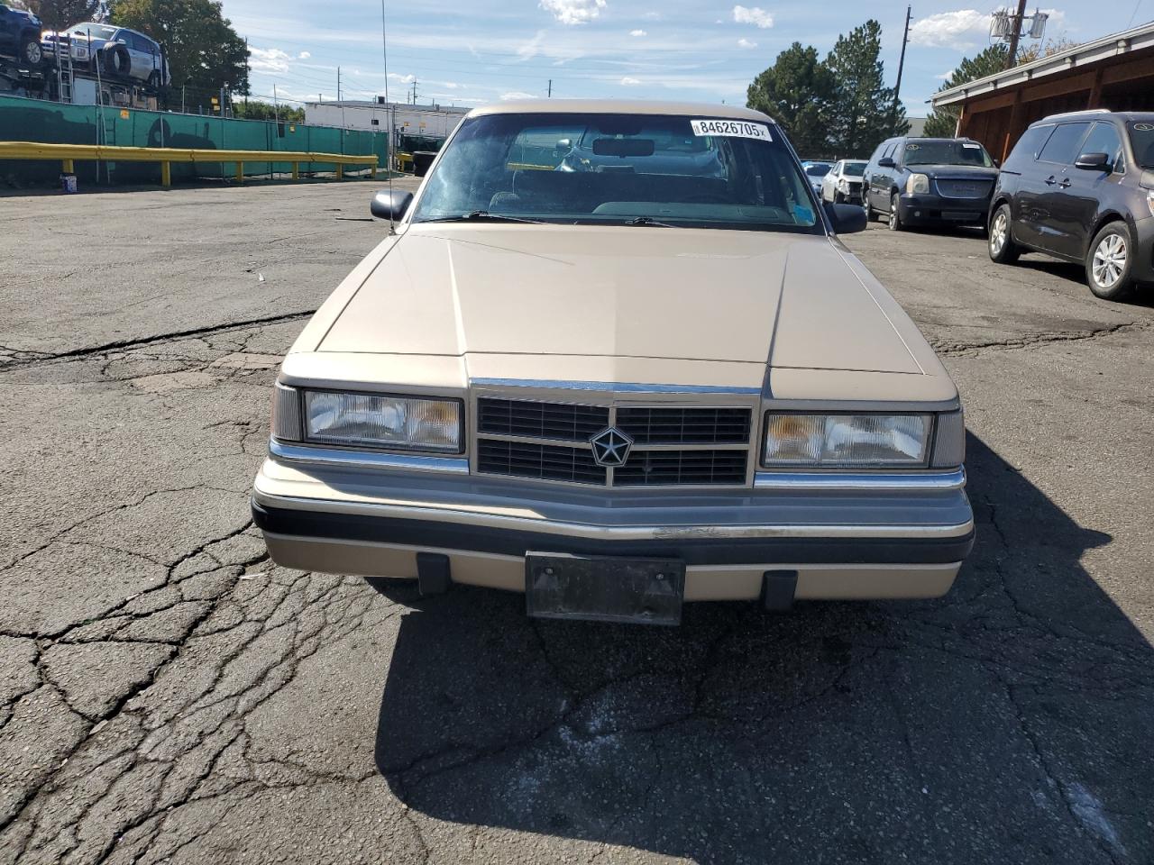 1993 Dodge Dynasty Le Gold vin: 1B3XC56R4PD186204