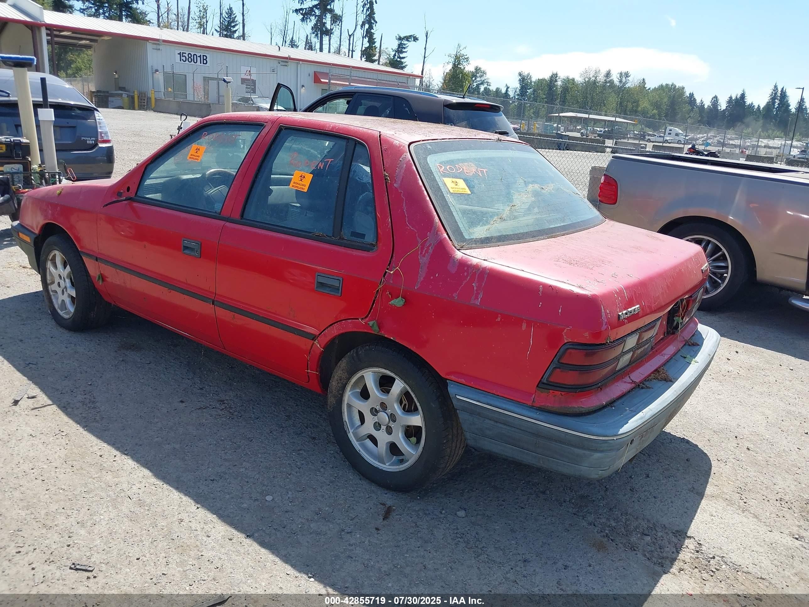 1991 Dodge Shadow   Red vin: 1B3XP48K6MN521659