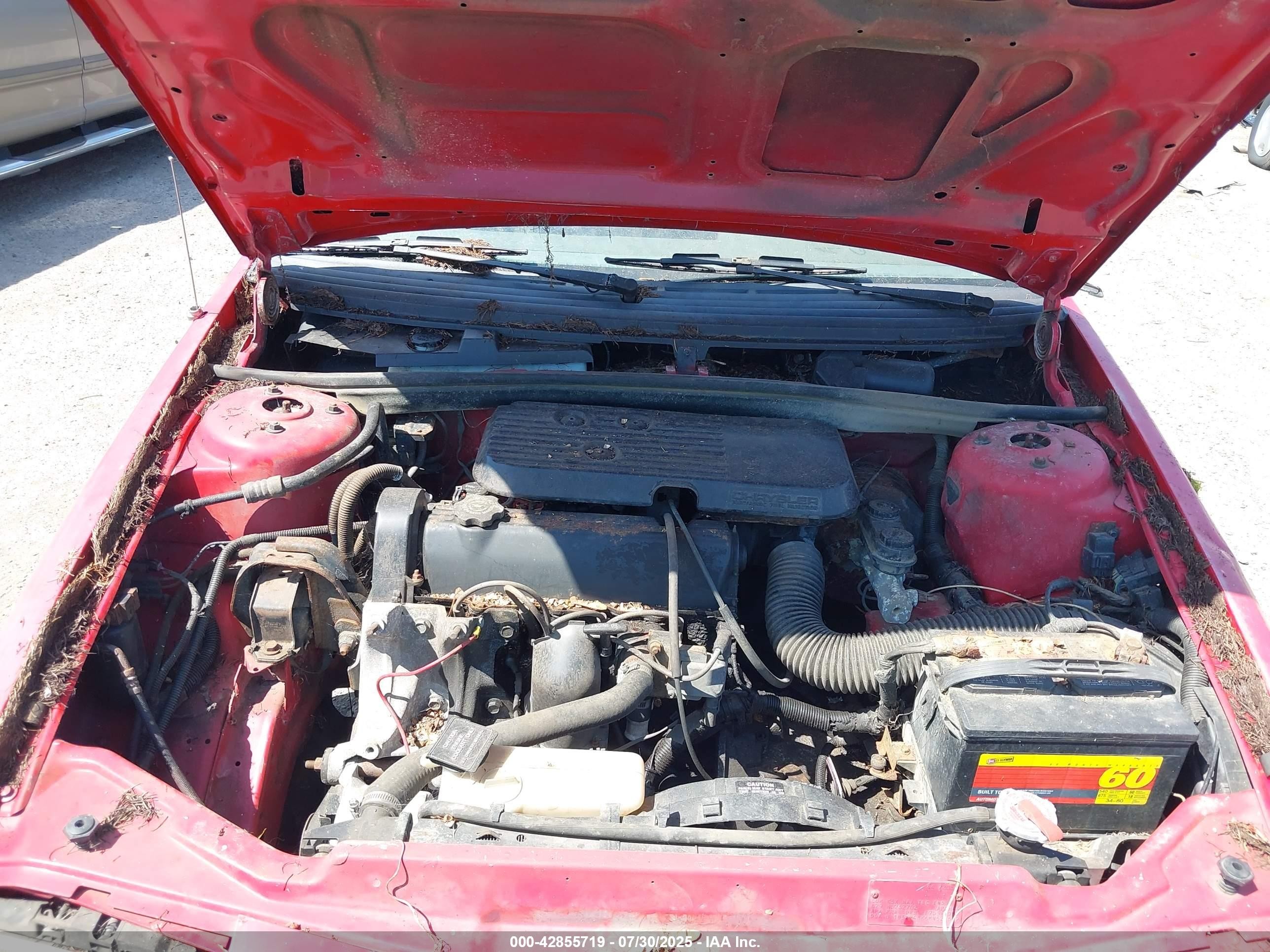 1991 Dodge Shadow   Red vin: 1B3XP48K6MN521659