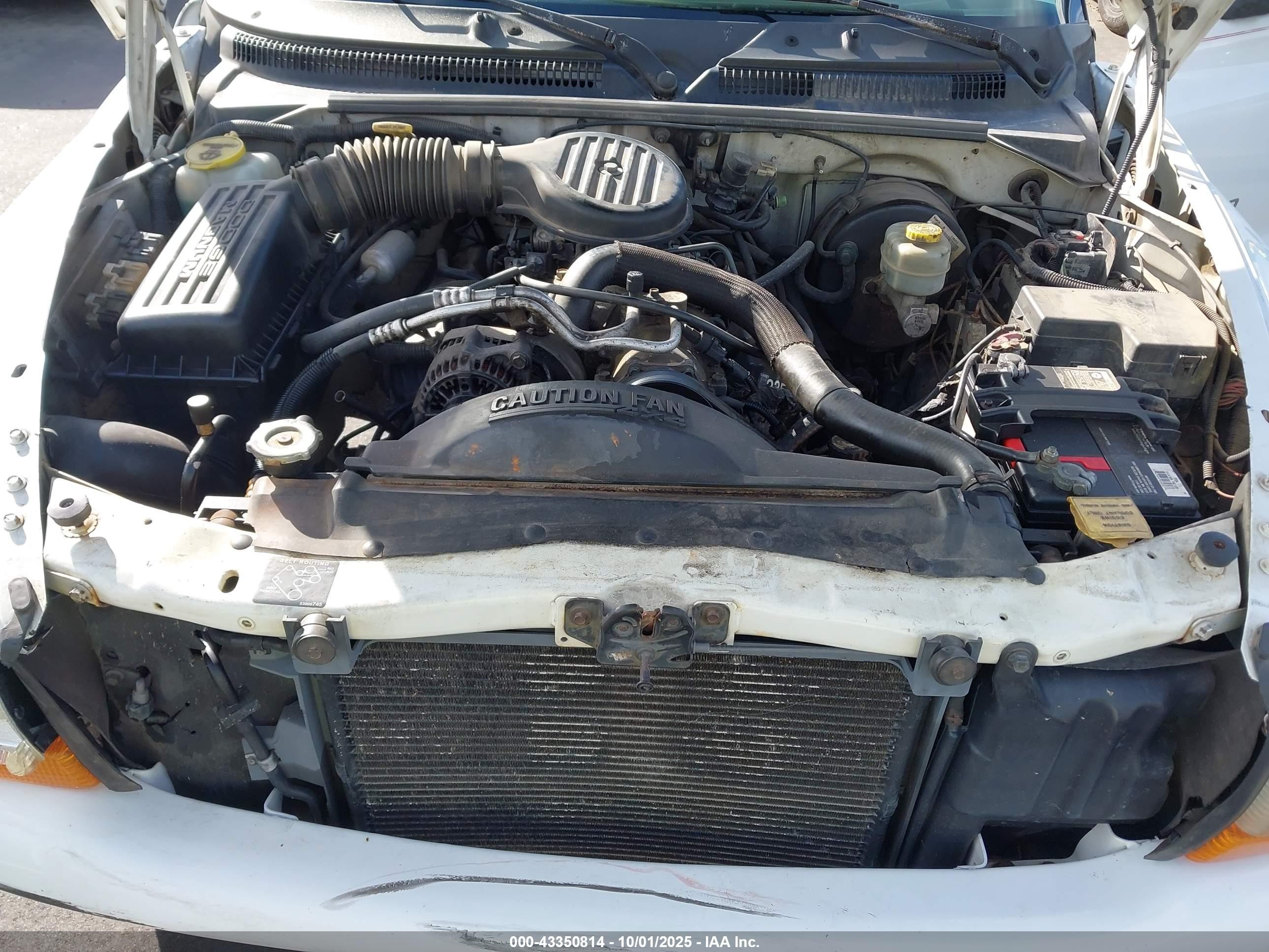 1999 Dodge Durango   White vin: 1B4HS28Y1XF590930