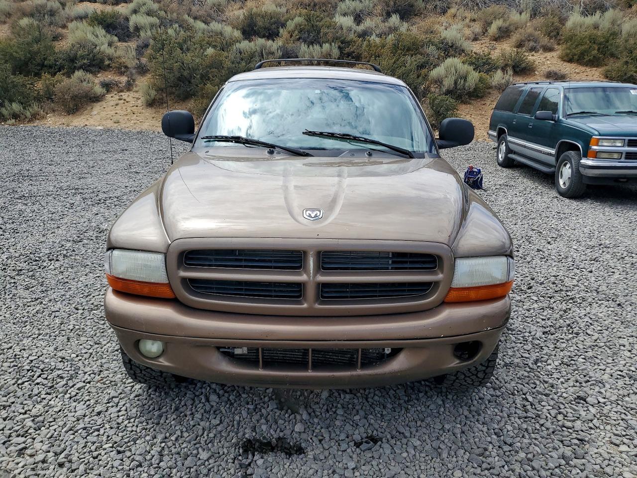 2000 Dodge Durango Brown vin: 1B4HS28Z9YF288683