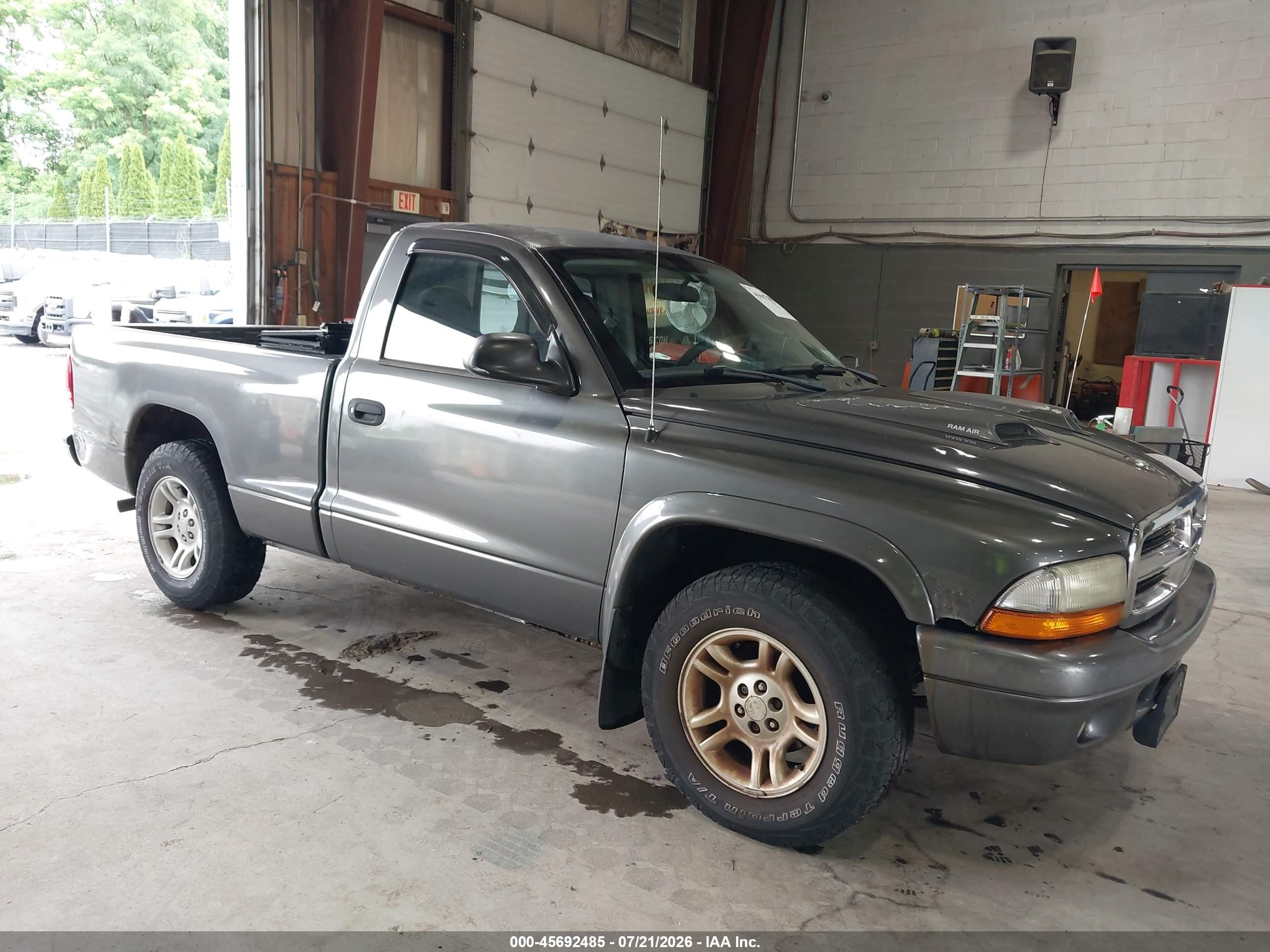 2002 Dodge Dakota   Серый vin: 1B7FL16X62S684149
