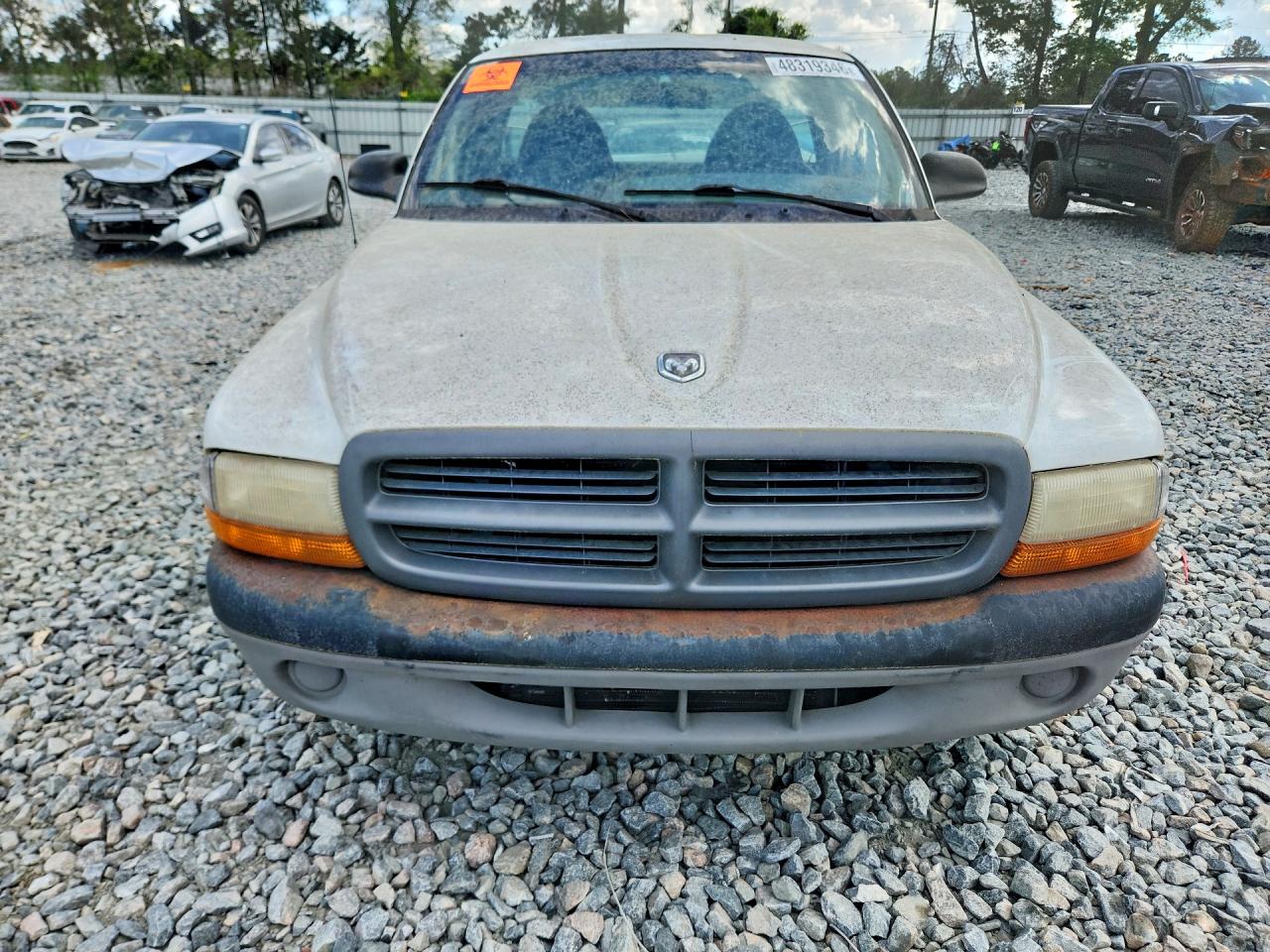 1999 Dodge Dakota White vin: 1B7FL26P0XS267493