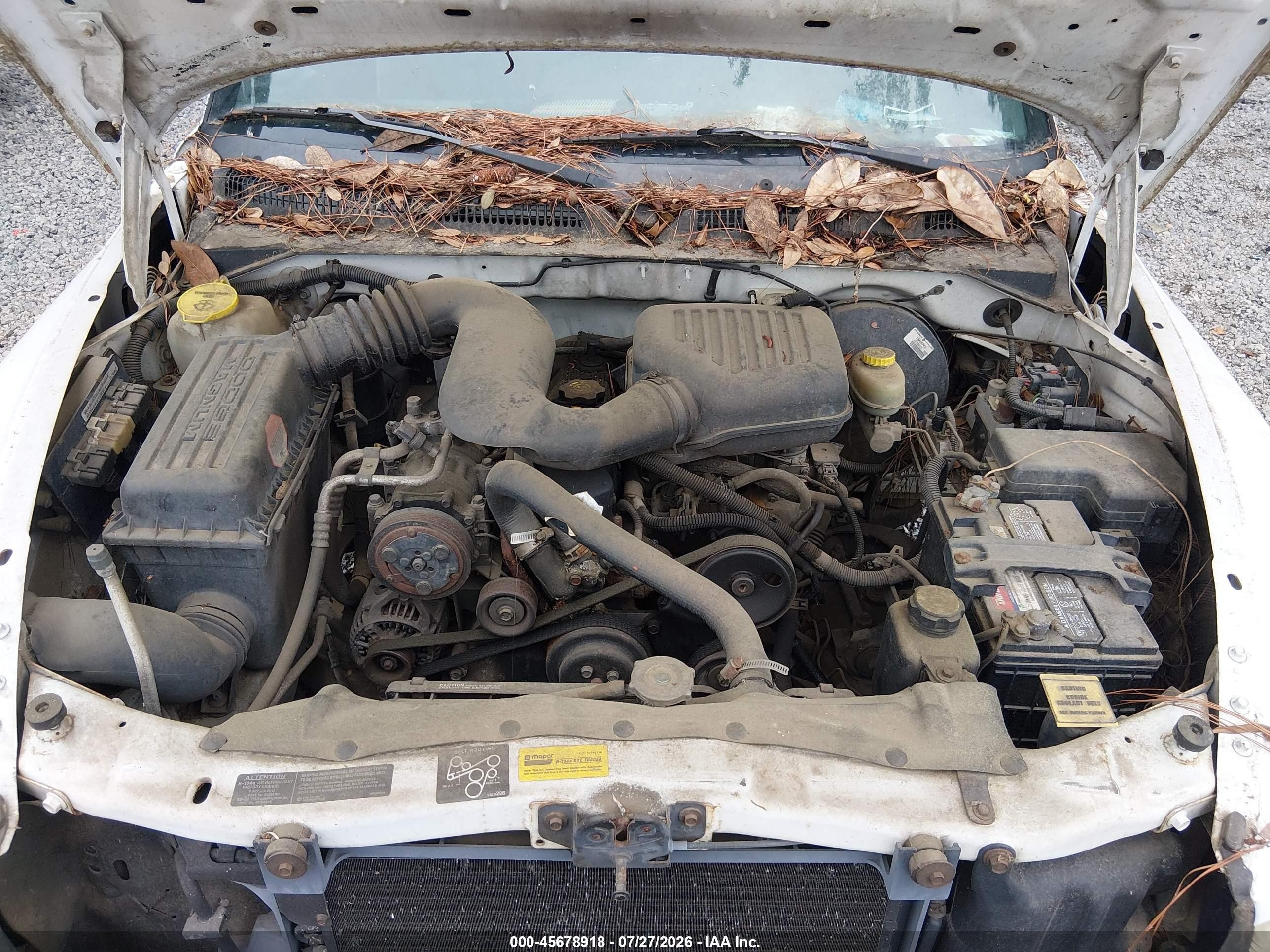 1998 Dodge Dakota Sport Белый vin: 1B7FL26P7WS563996