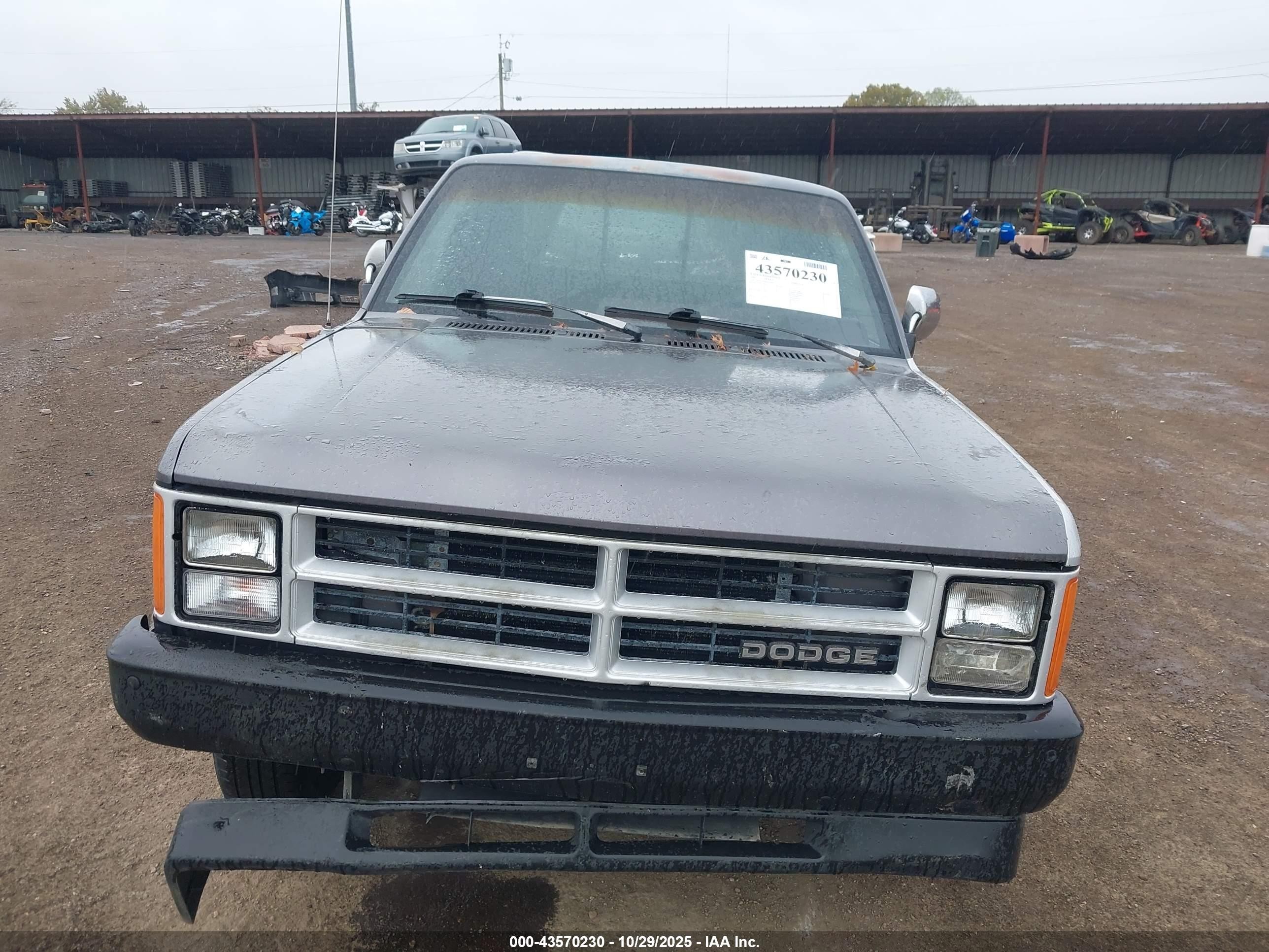 1989 Dodge Dakota   Серый vin: 1B7FL26X0KS138453