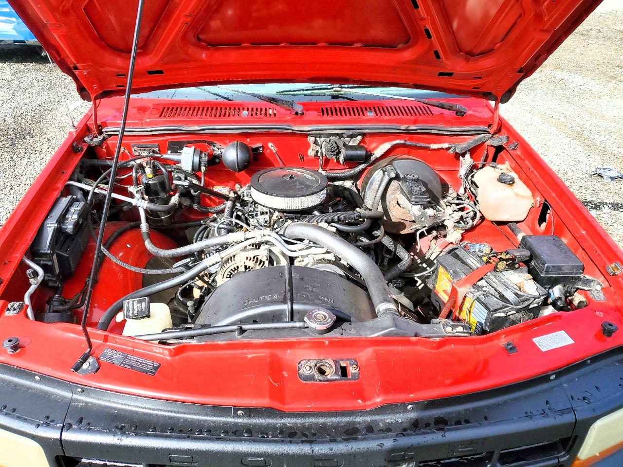 1995 Dodge Dakota Red vin: 1B7FL26X2SW934906