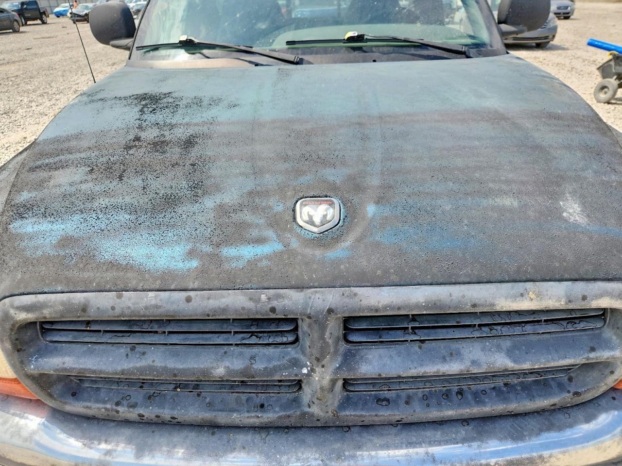 1999 Dodge Dakota Green vin: 1B7FL26X5XS174484
