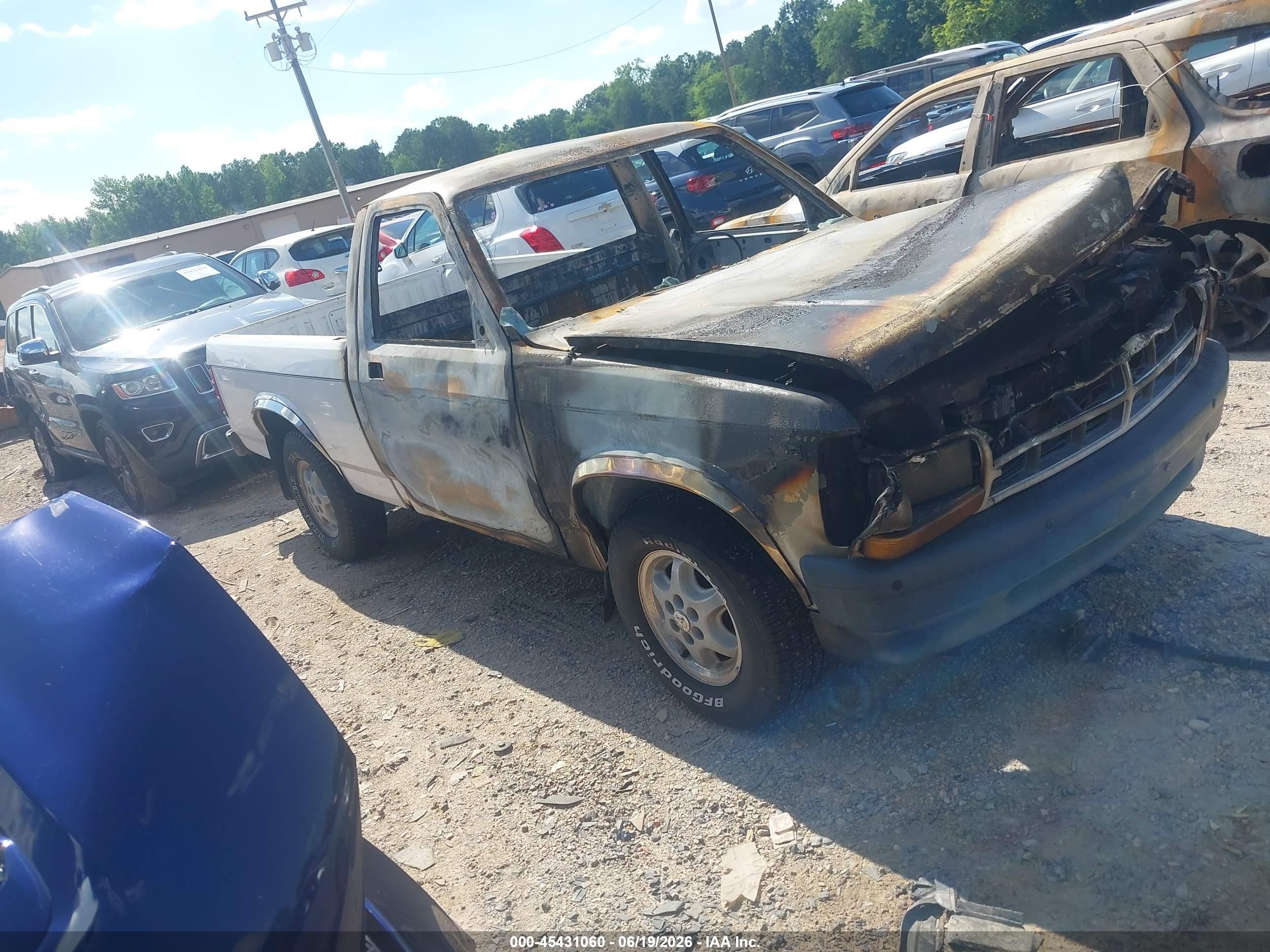 1995 Dodge Dakota   Белый vin: 1B7FL26X6SW945715