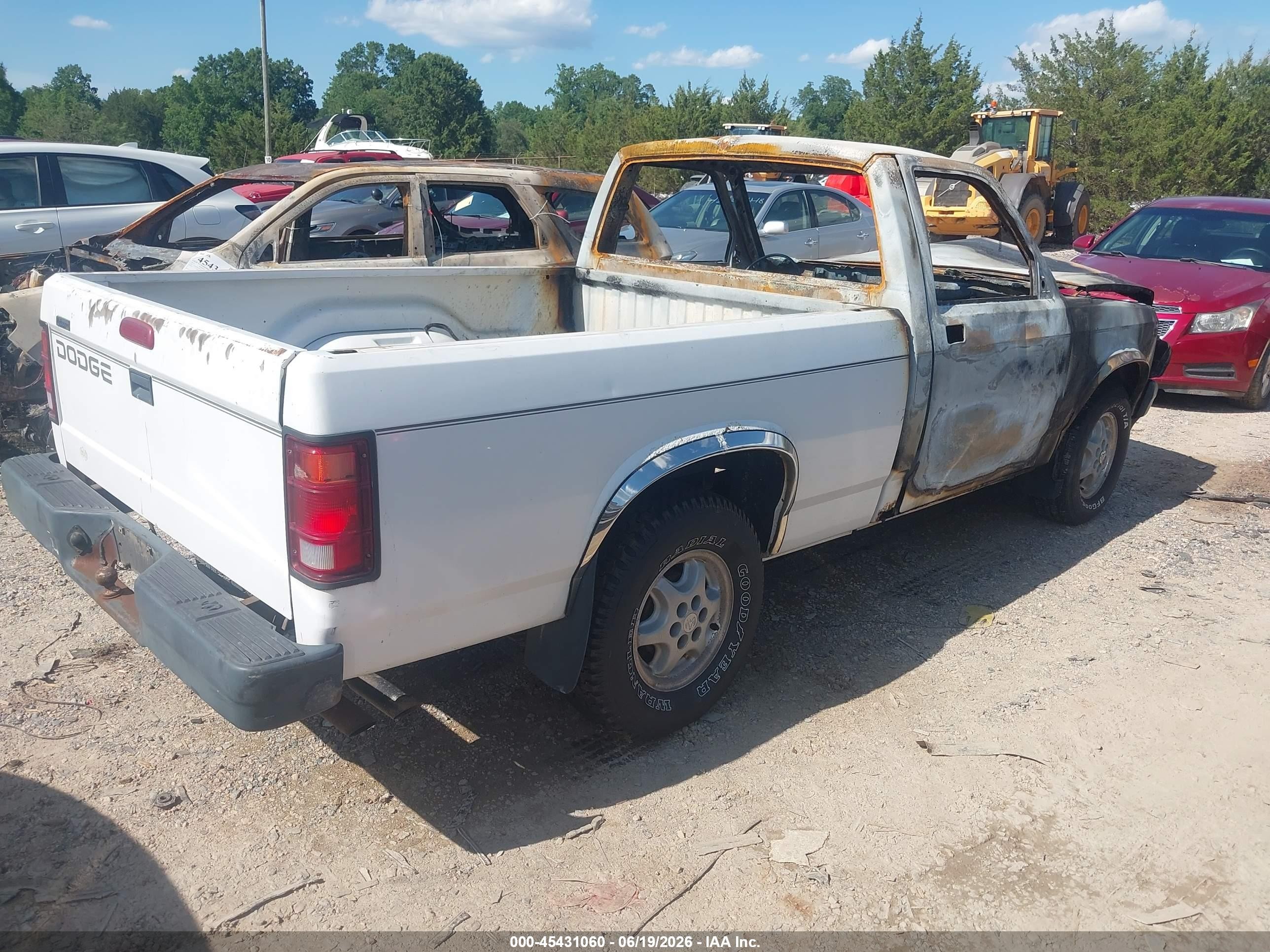 1995 Dodge Dakota   Белый vin: 1B7FL26X6SW945715