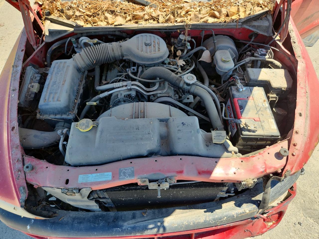 2000 Dodge Dakota Red vin: 1B7FL26X8YS742647