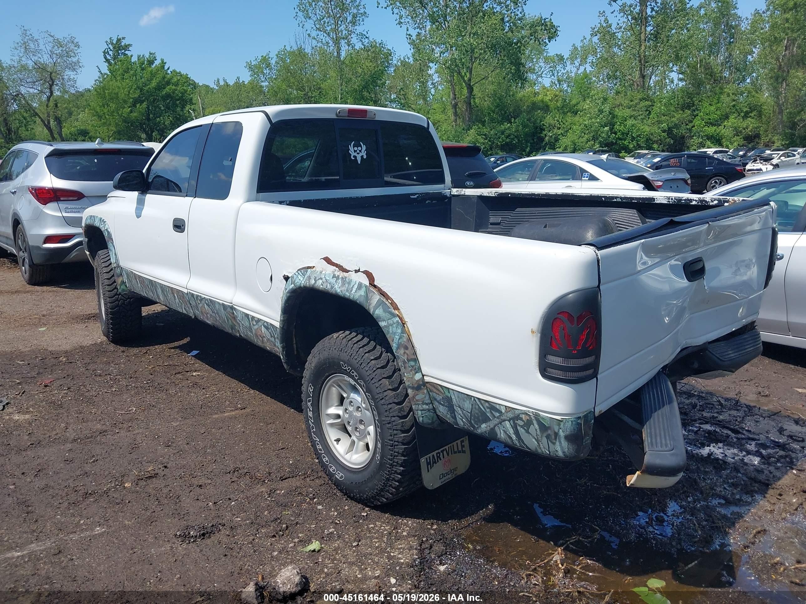 2000 Dodge Dakota Slt/sport White vin: 1B7GG22N8YS524544