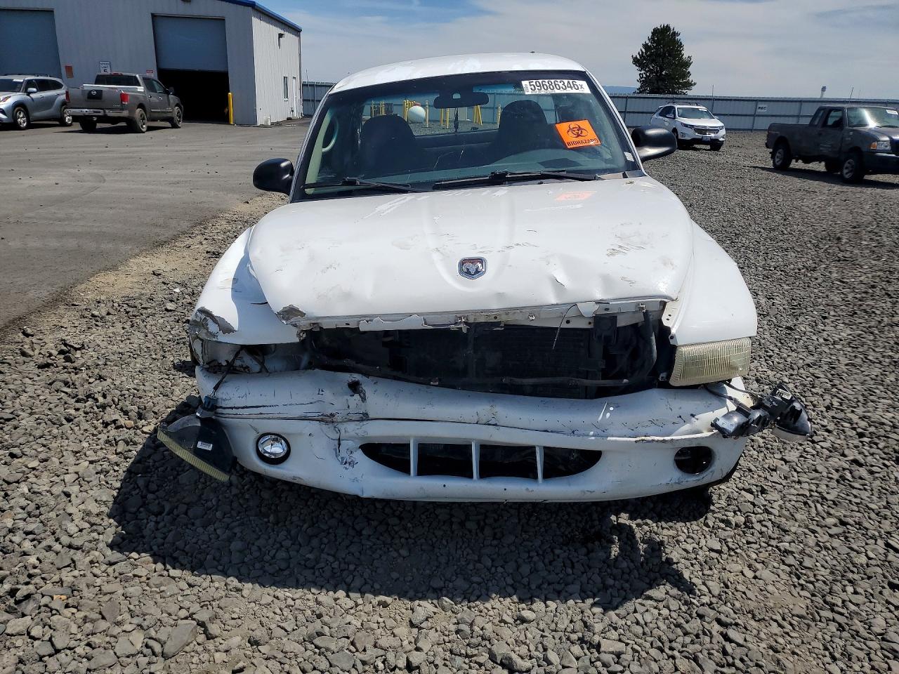 2001 Dodge Dakota White vin: 1B7GG22NX1S184710
