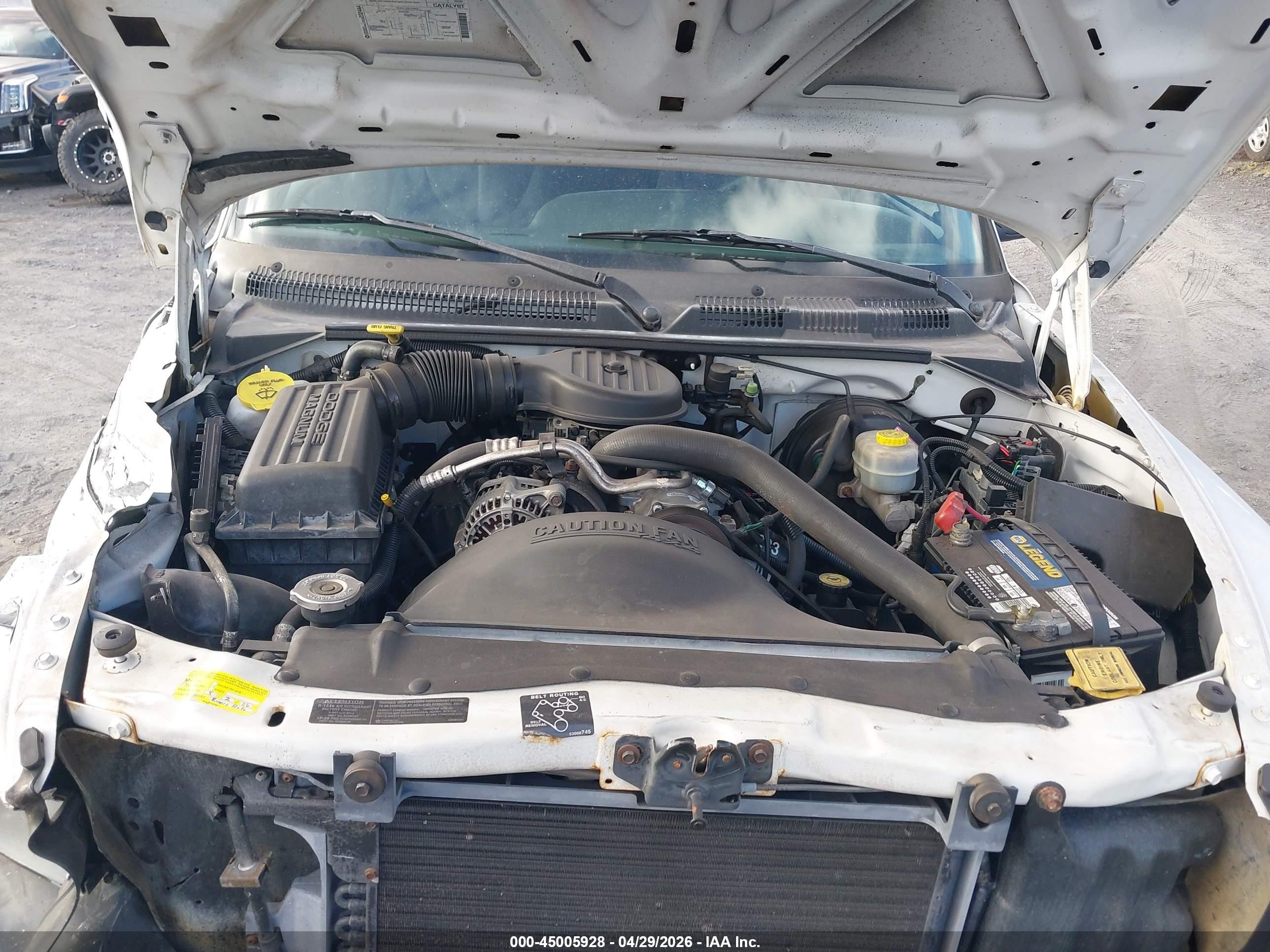 1999 Dodge Dakota Slt/sport White vin: 1B7GG22X5XS190716